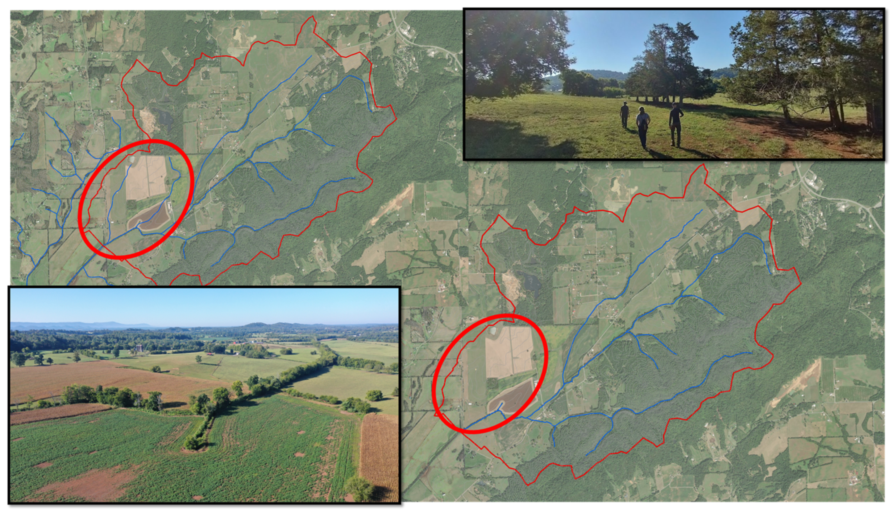 Sustainability 16 02332 g006