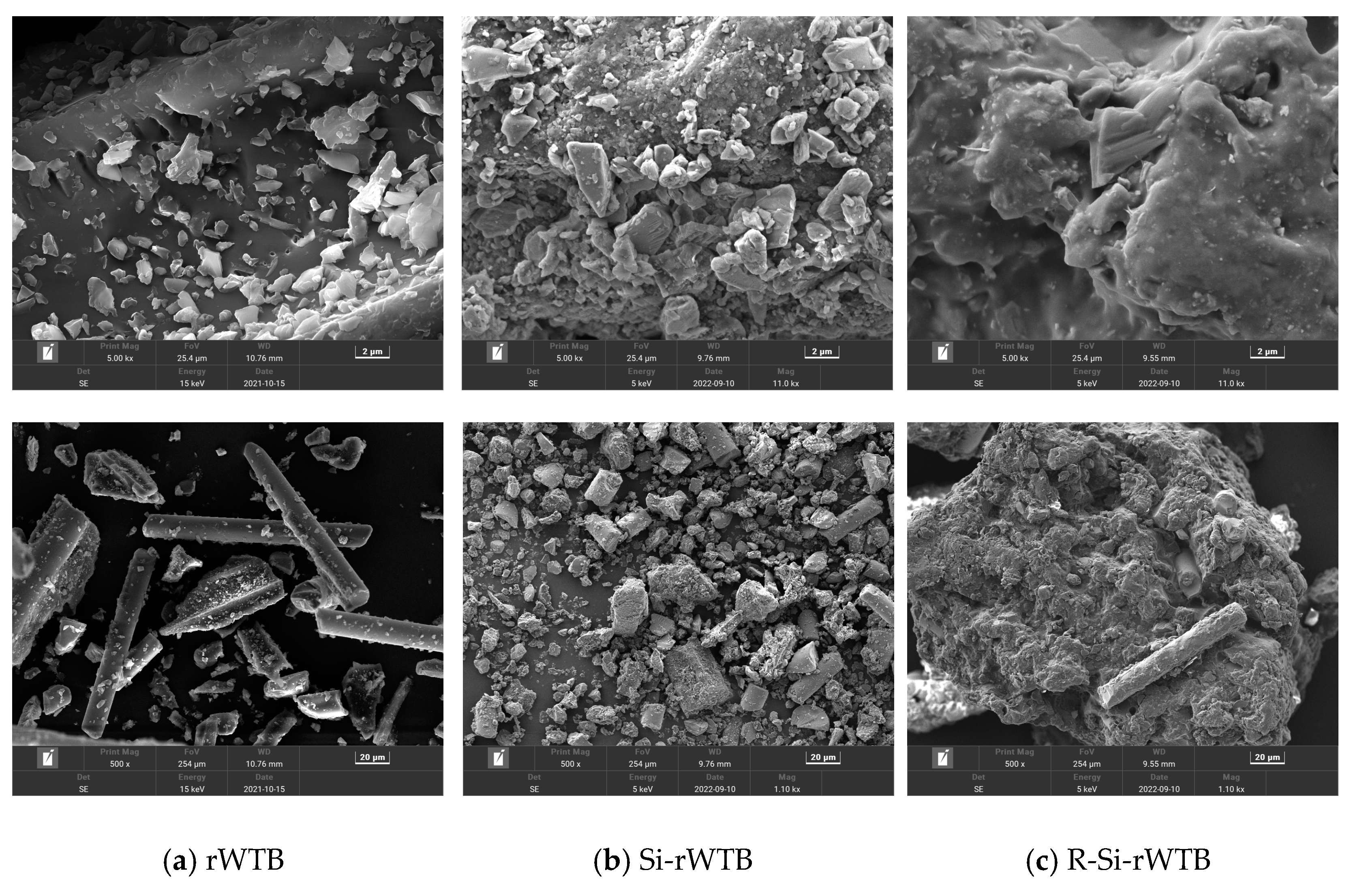 Sustainability 16 02343 g003