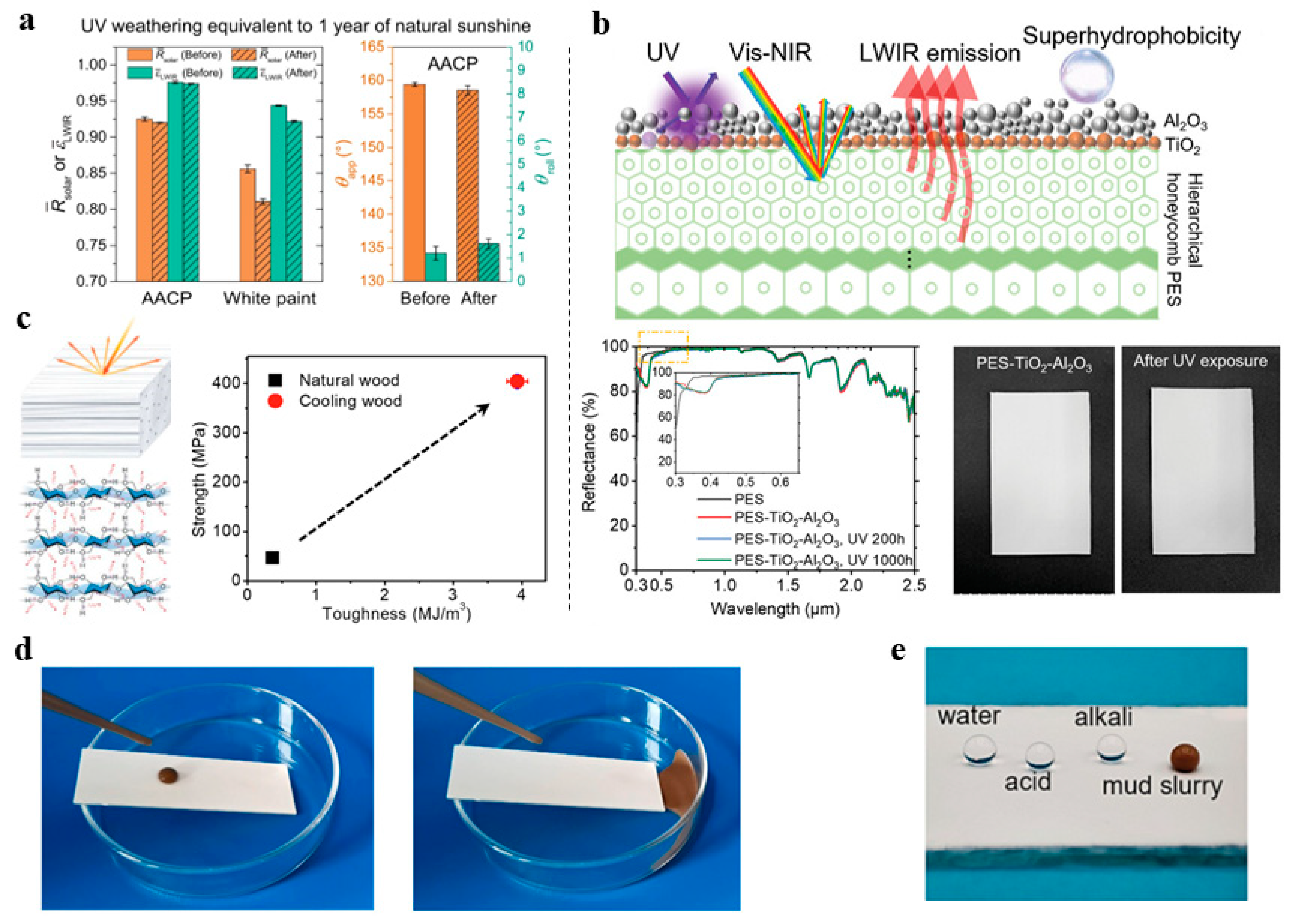 Sustainability 16 02346 g003