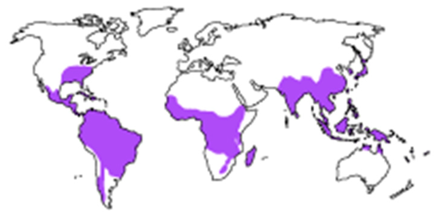 Sustainability 16 02347 g001