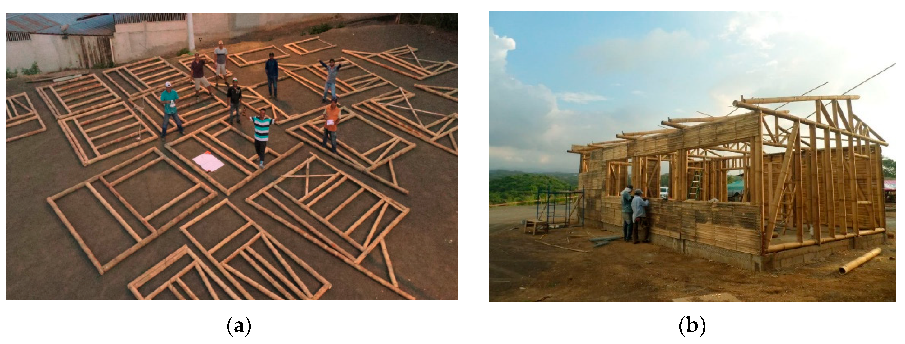Bamboo as a Sustainable Building Material for Innovative, Low-Cost 
