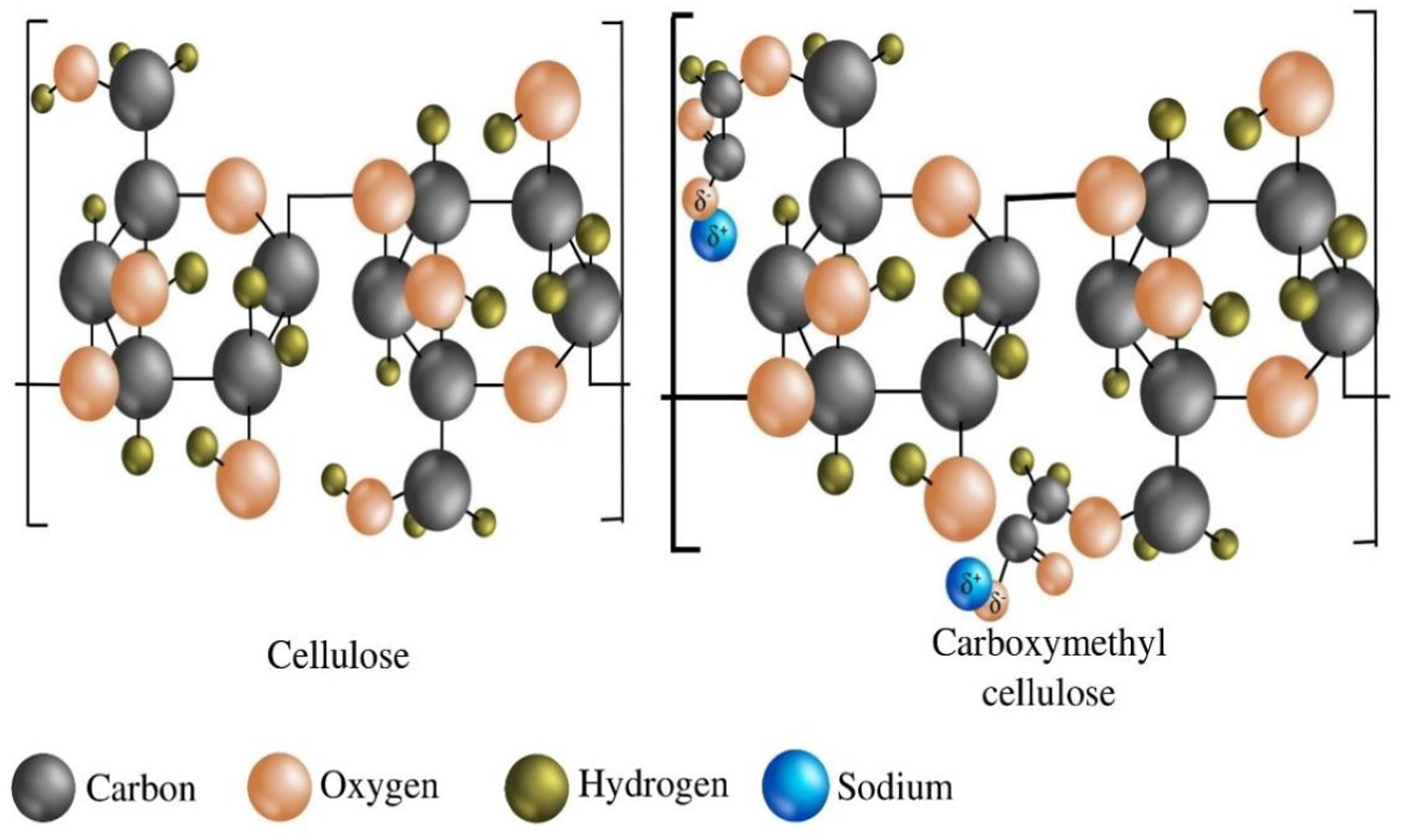 Sustainability 16 02352 g001