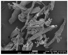 Sustainability 16 02352 i008