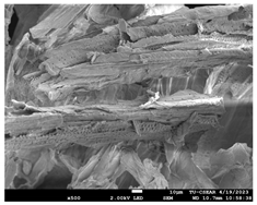 Sustainability 16 02352 i009