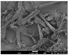 Sustainability 16 02352 i012