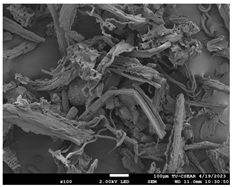 Sustainability 16 02352 i014