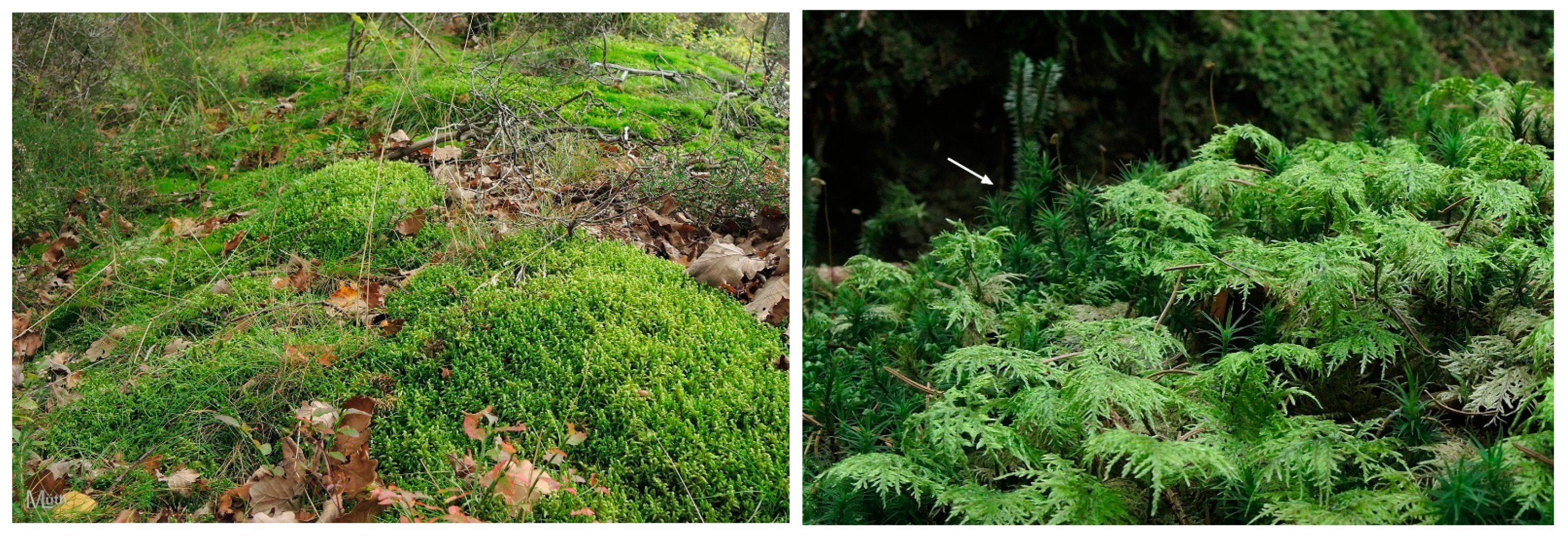 Sustainability 16 02359 g006