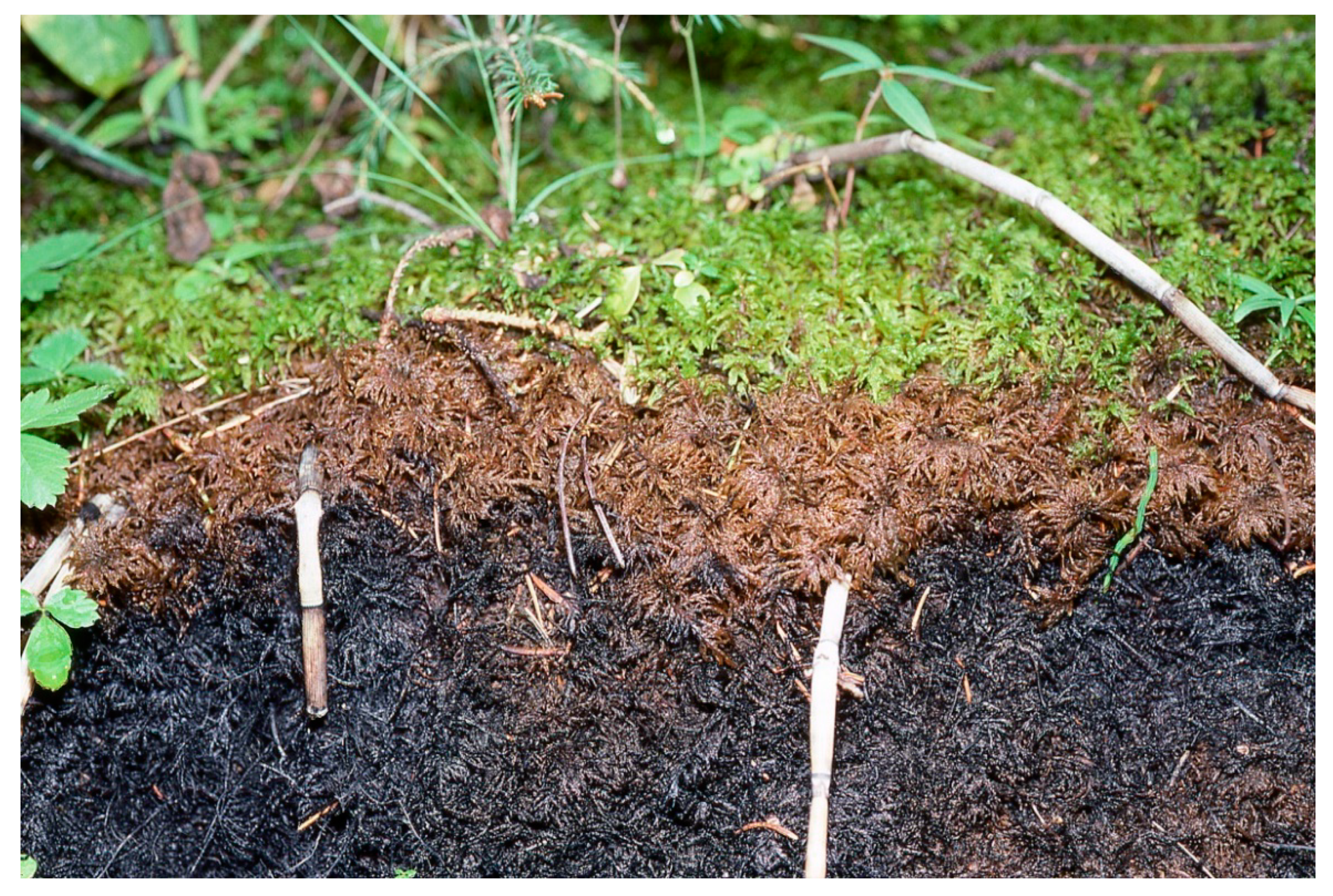 Sustainability 16 02359 g007