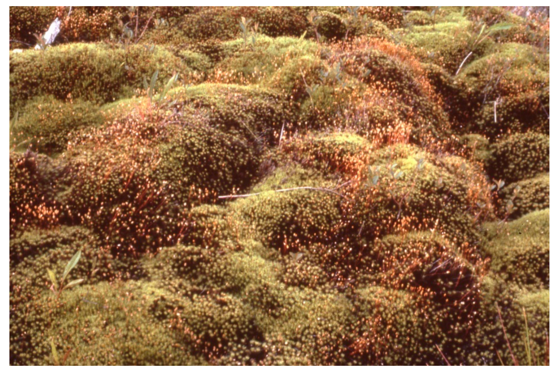 Sustainability 16 02359 g008