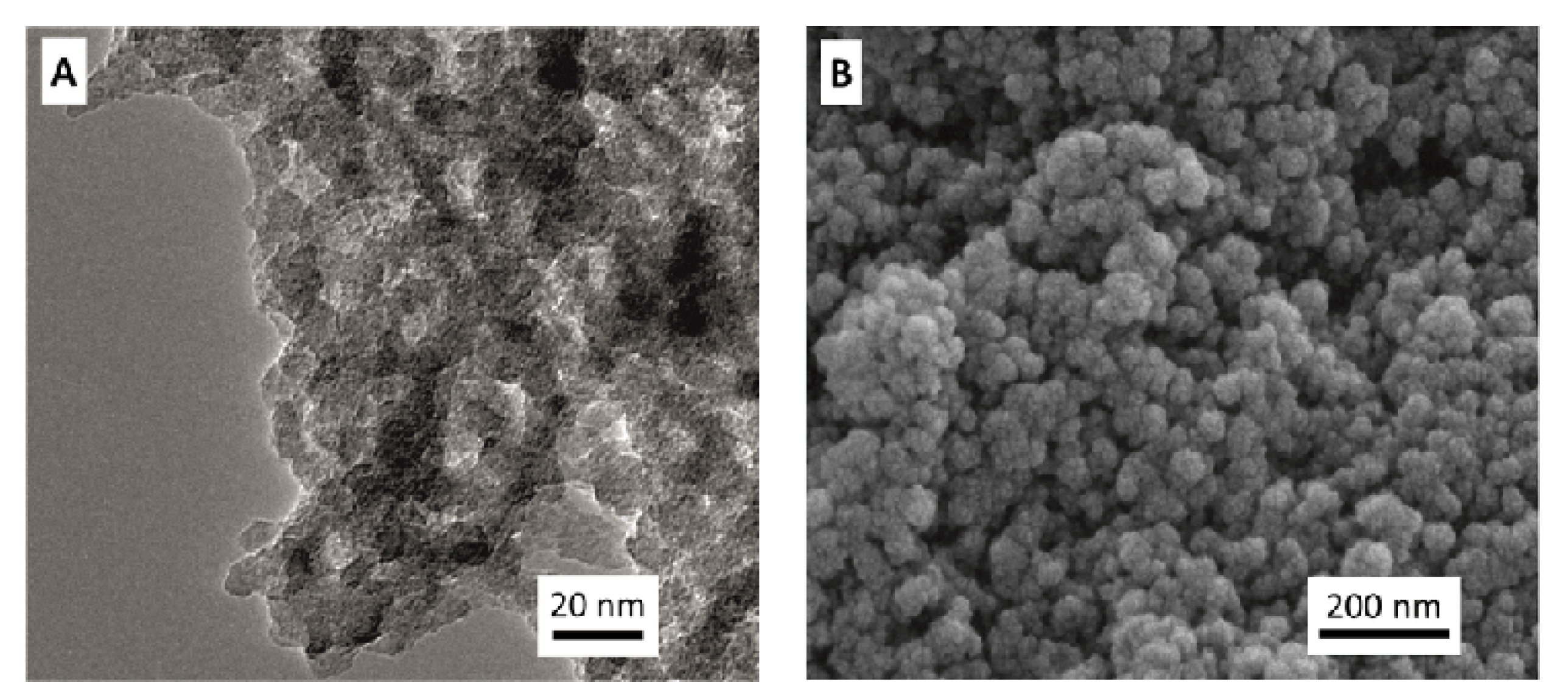 Sustainability 16 02398 g001