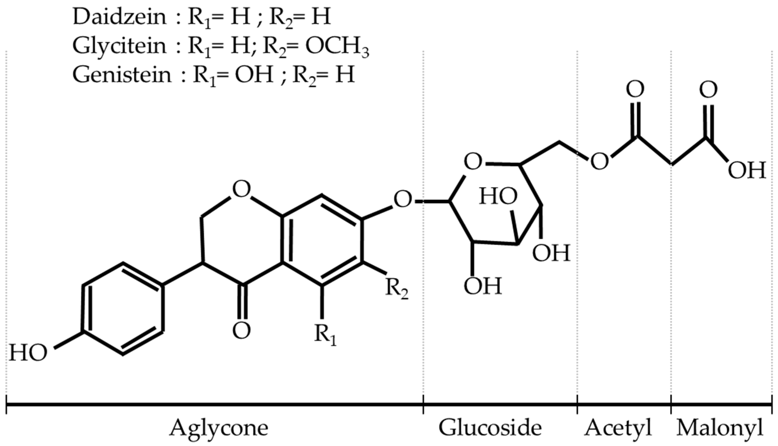 Sustainability 16 02436 g001