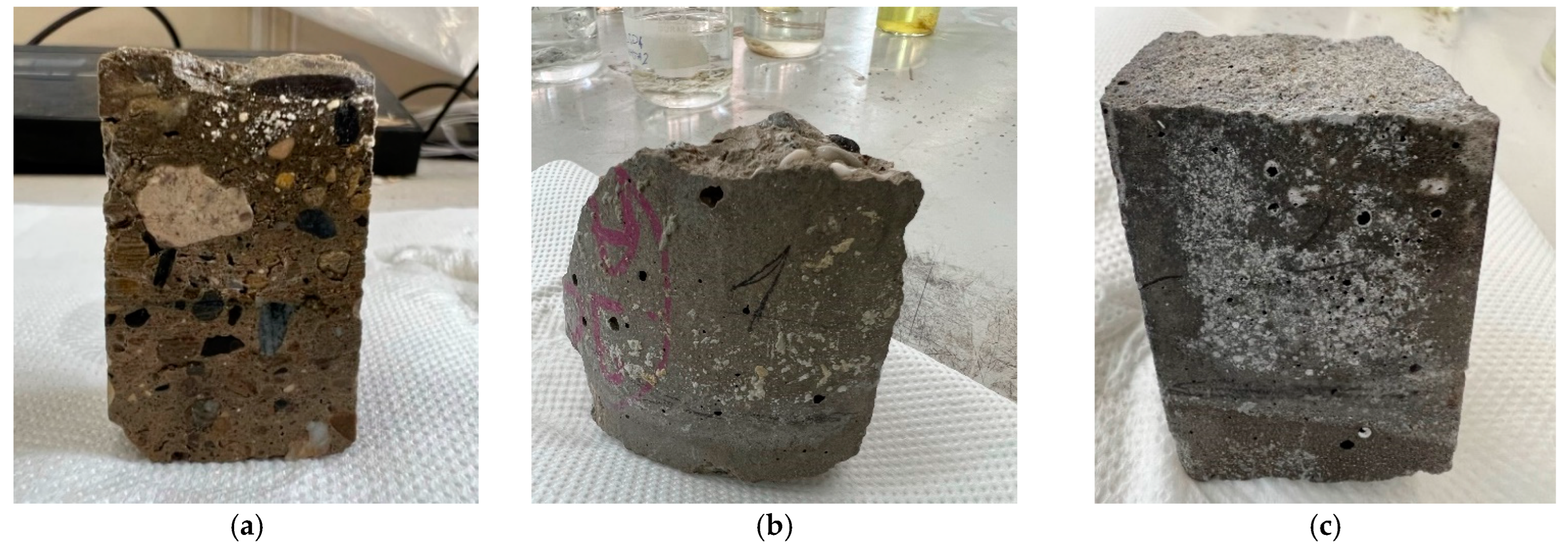 Sustainability 16 02444 g007