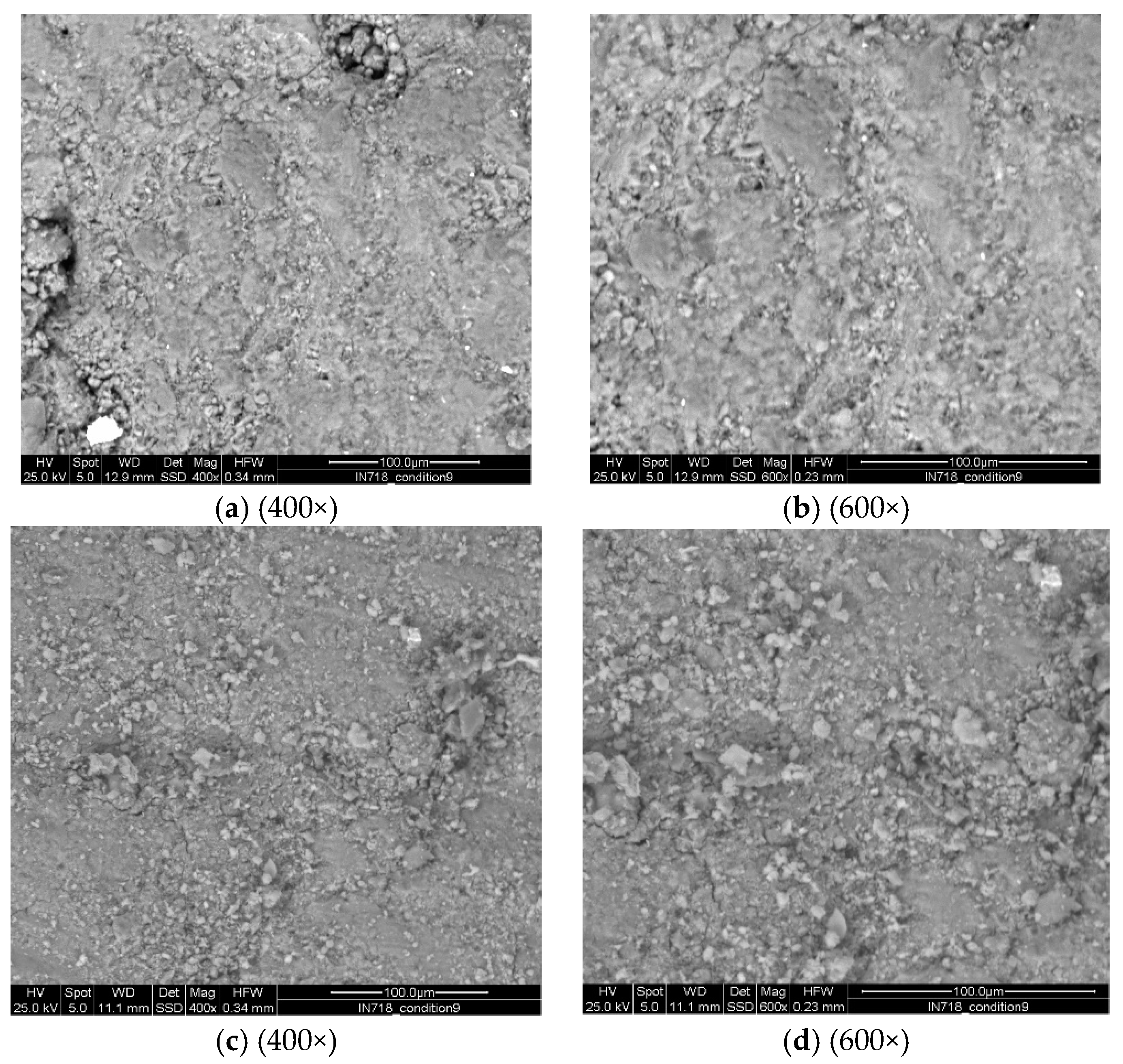 Sustainability 16 02444 g010