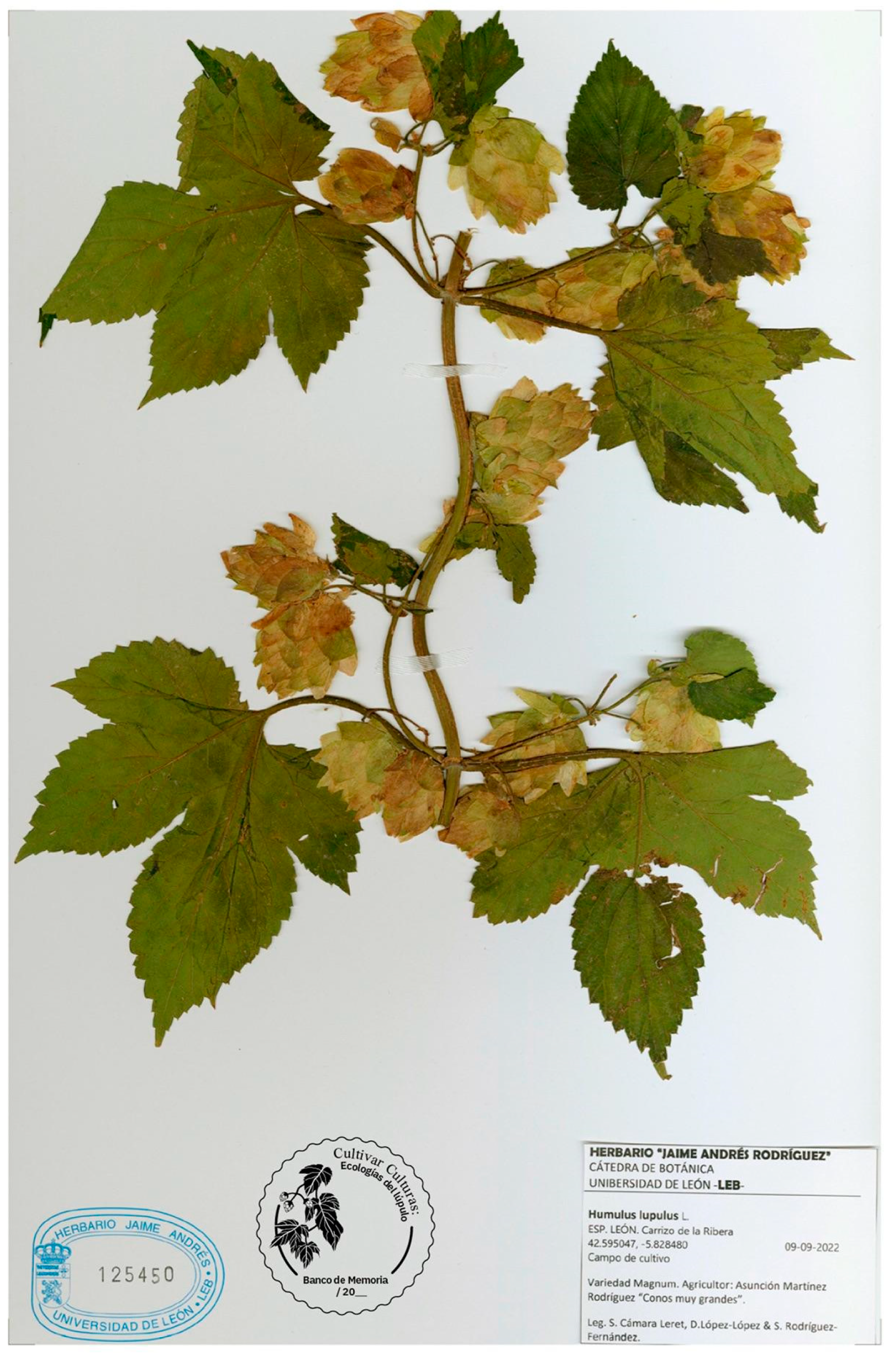 Sustainability 16 02470 g002