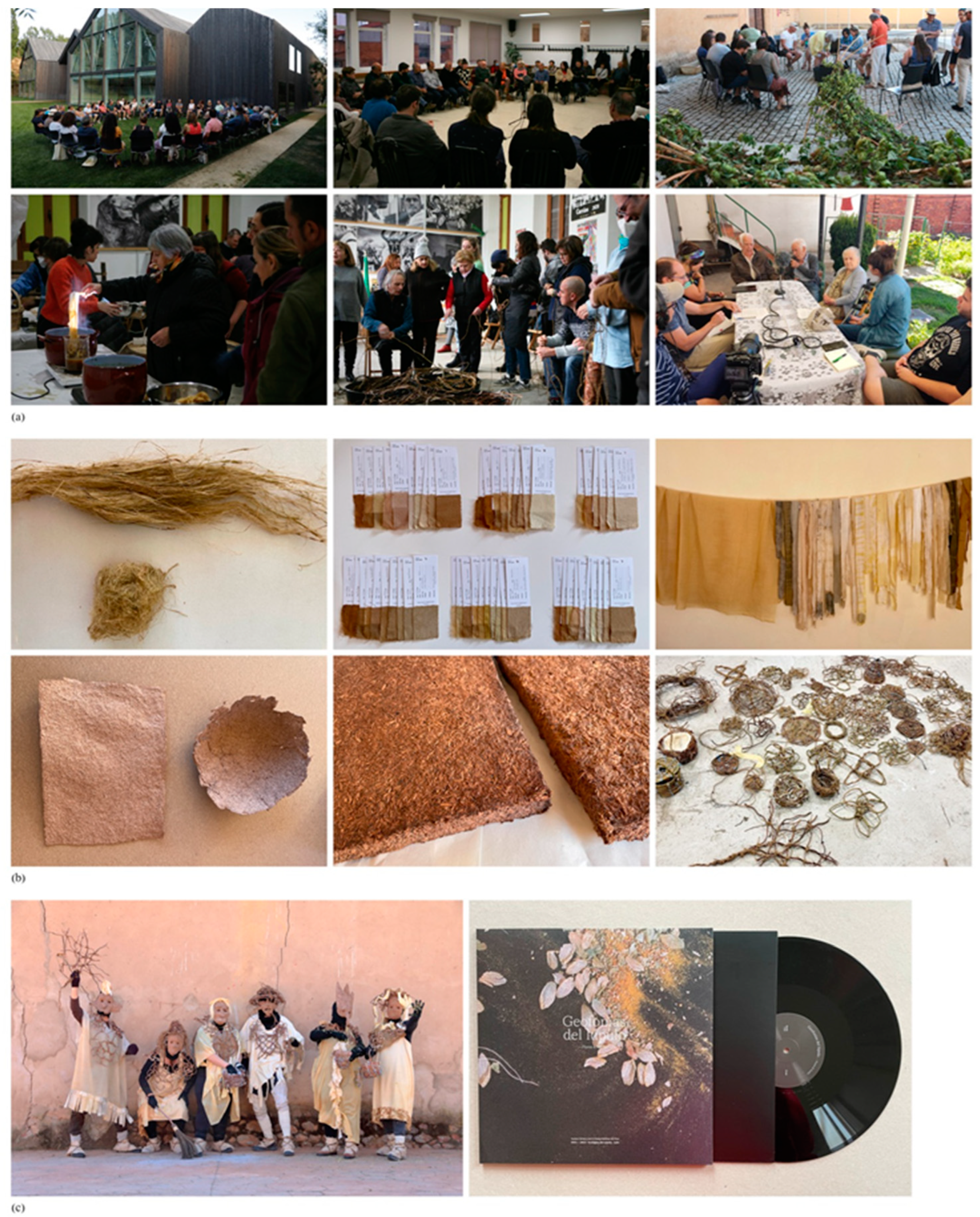 Sustainability 16 02470 g003