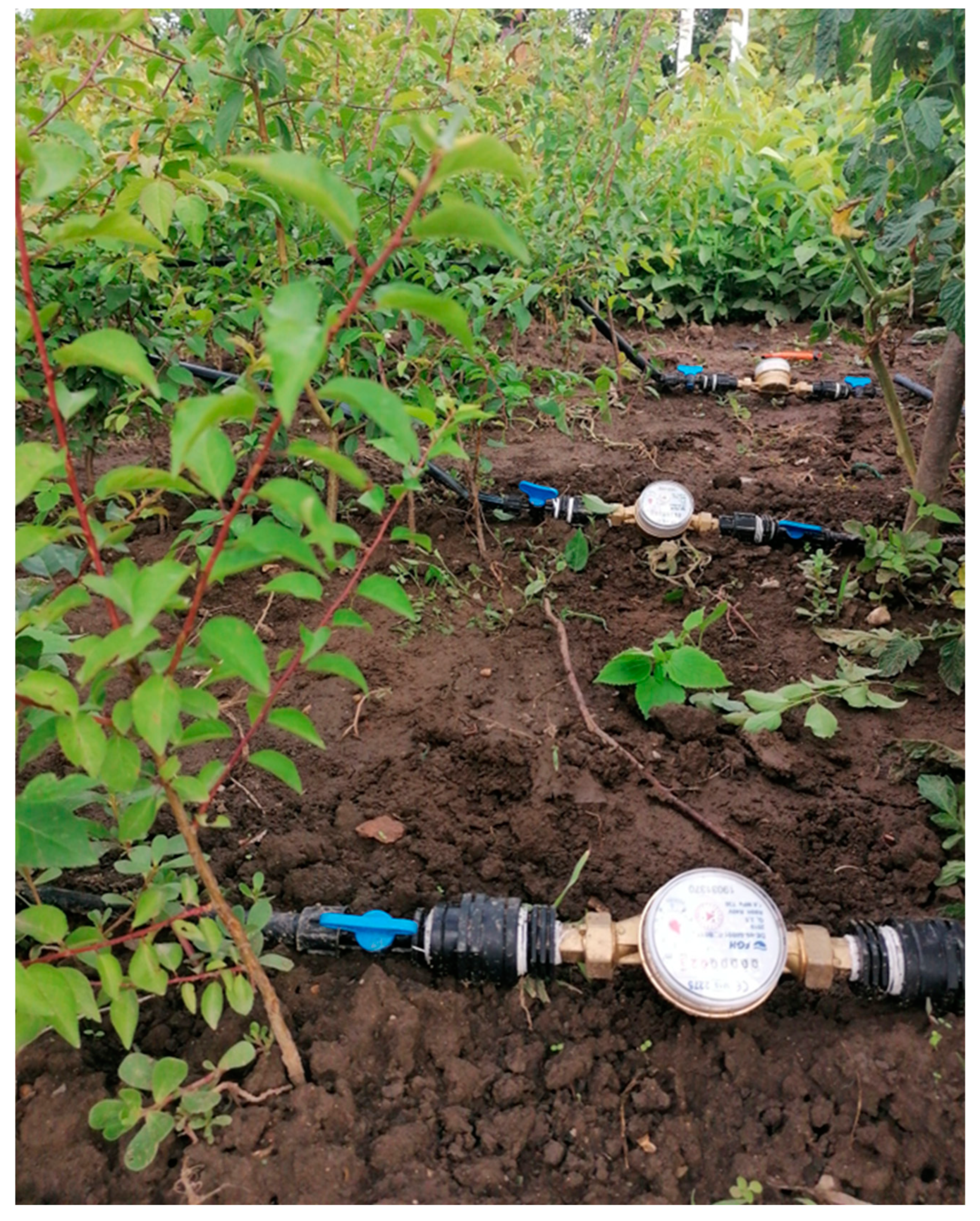 Sustainability 16 02496 g002