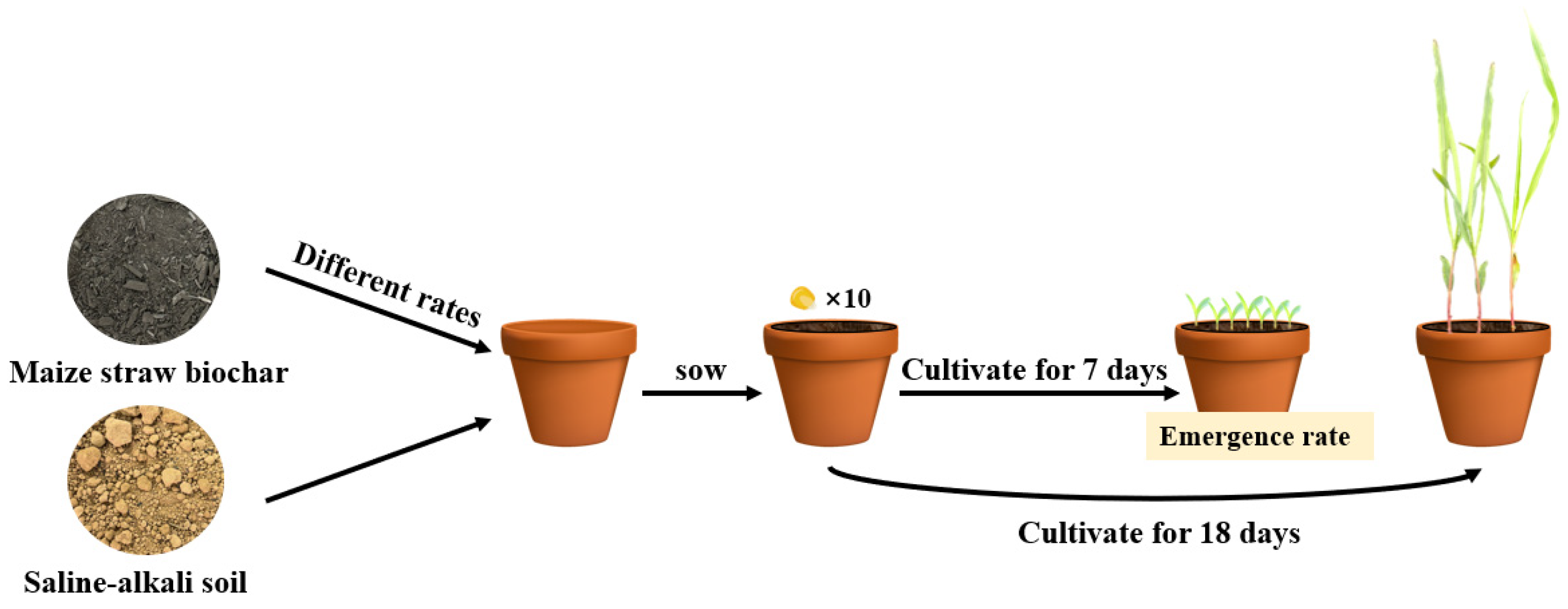 Sustainability 16 02523 g001
