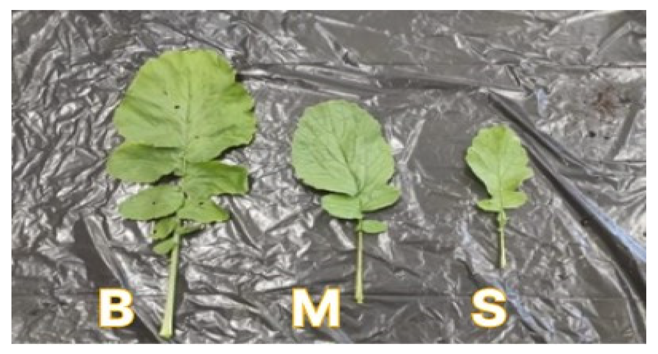 Sustainability 16 02529 g001