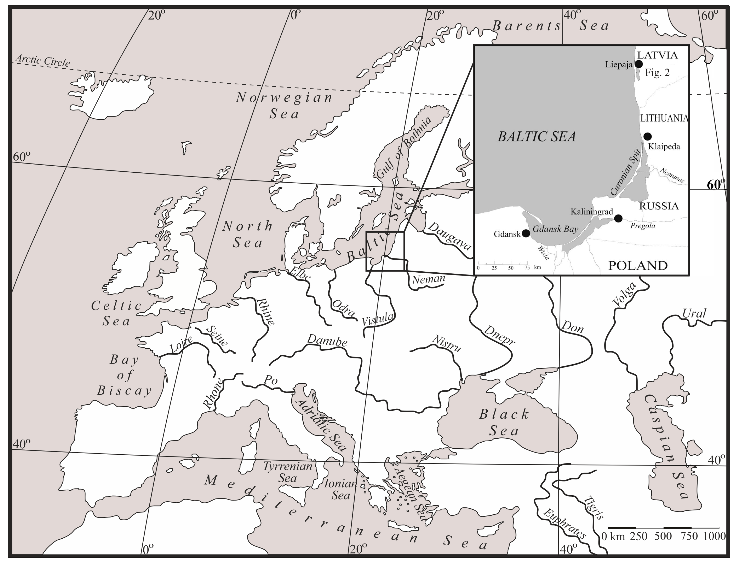 Sustainability 16 02544 g001