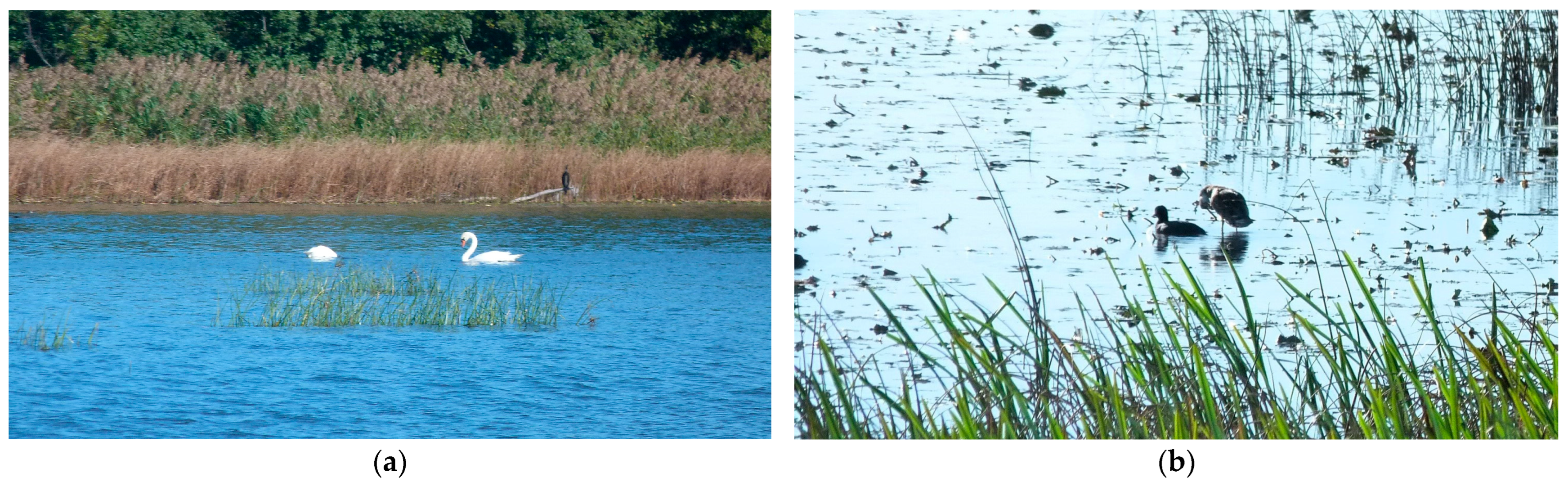 Sustainability 16 02544 g004