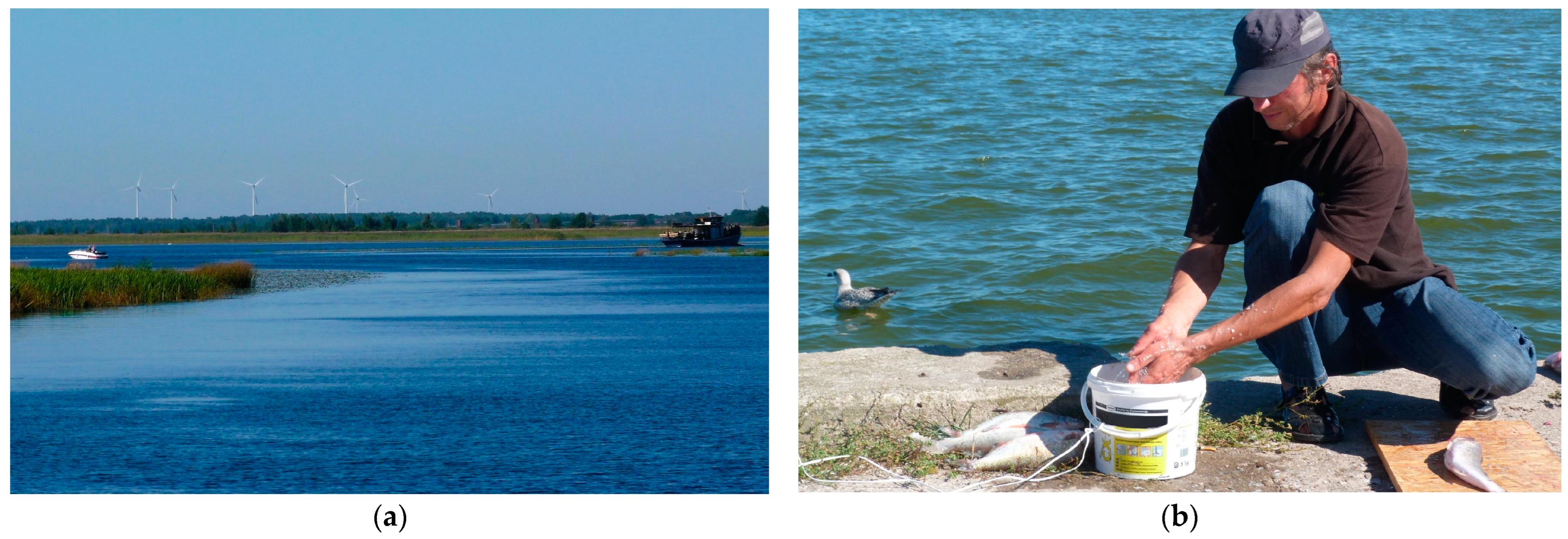 Sustainability 16 02544 g007