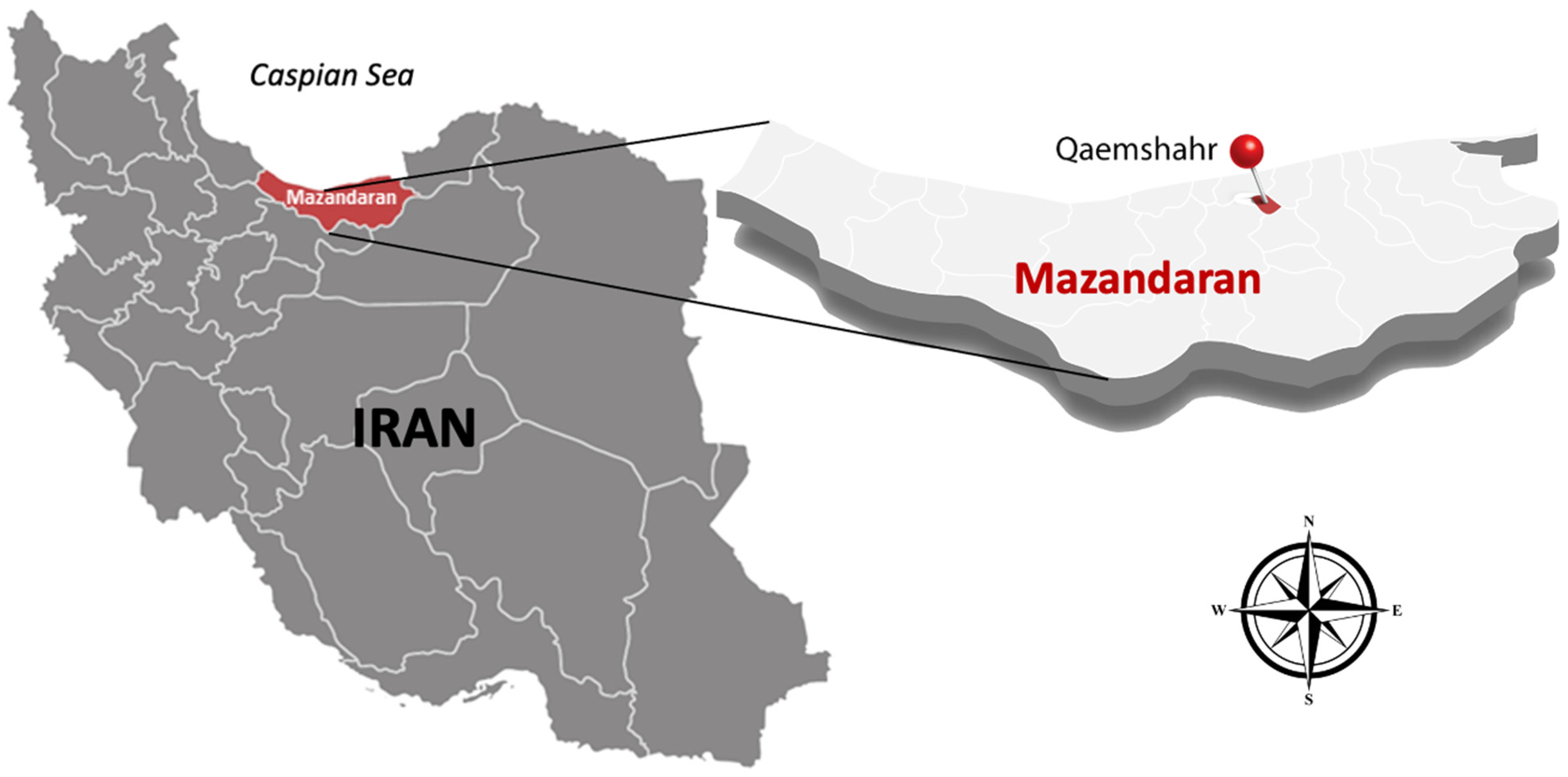 Sustainability 16 02563 g001