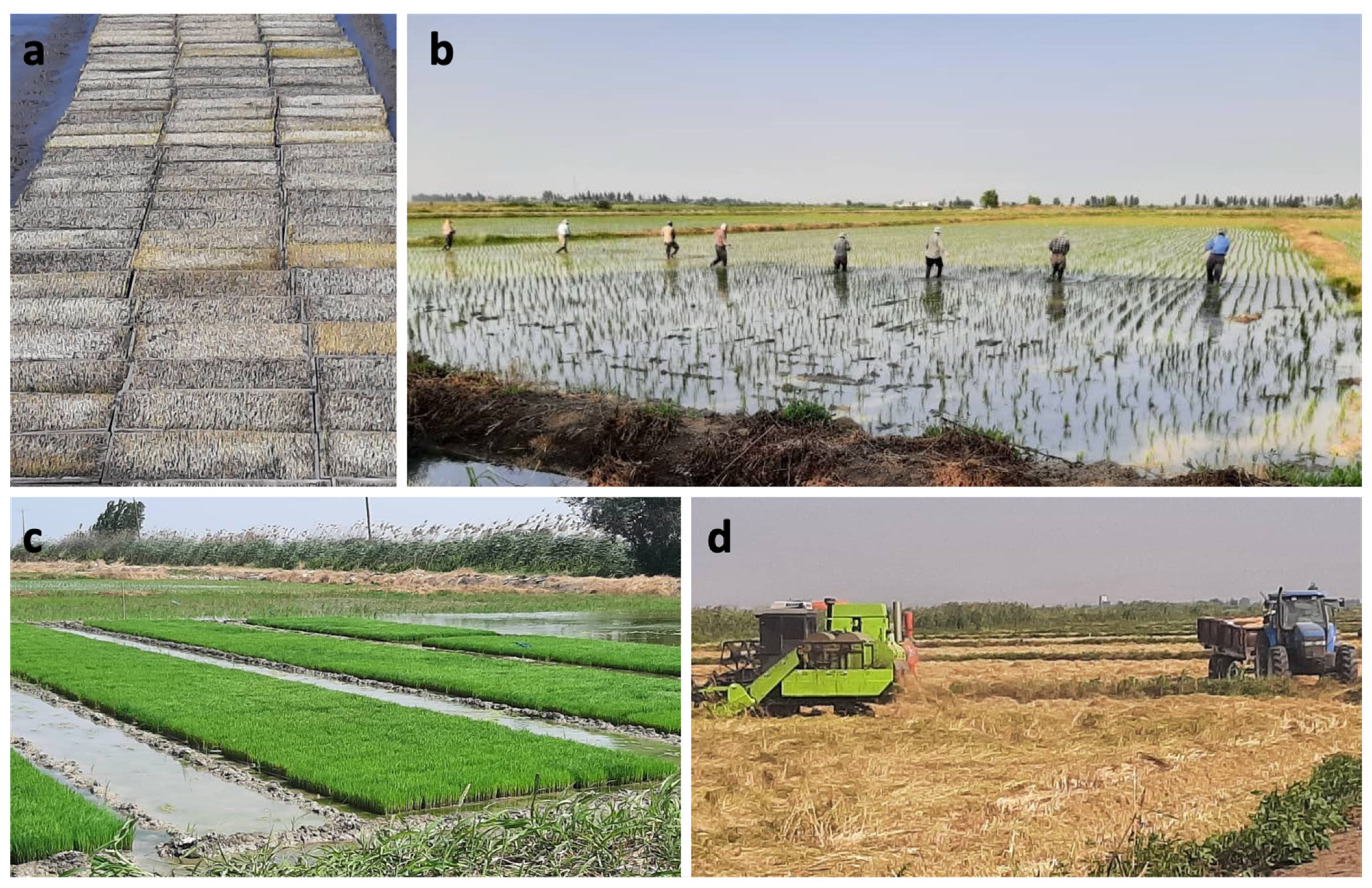 Sustainability 16 02563 g002