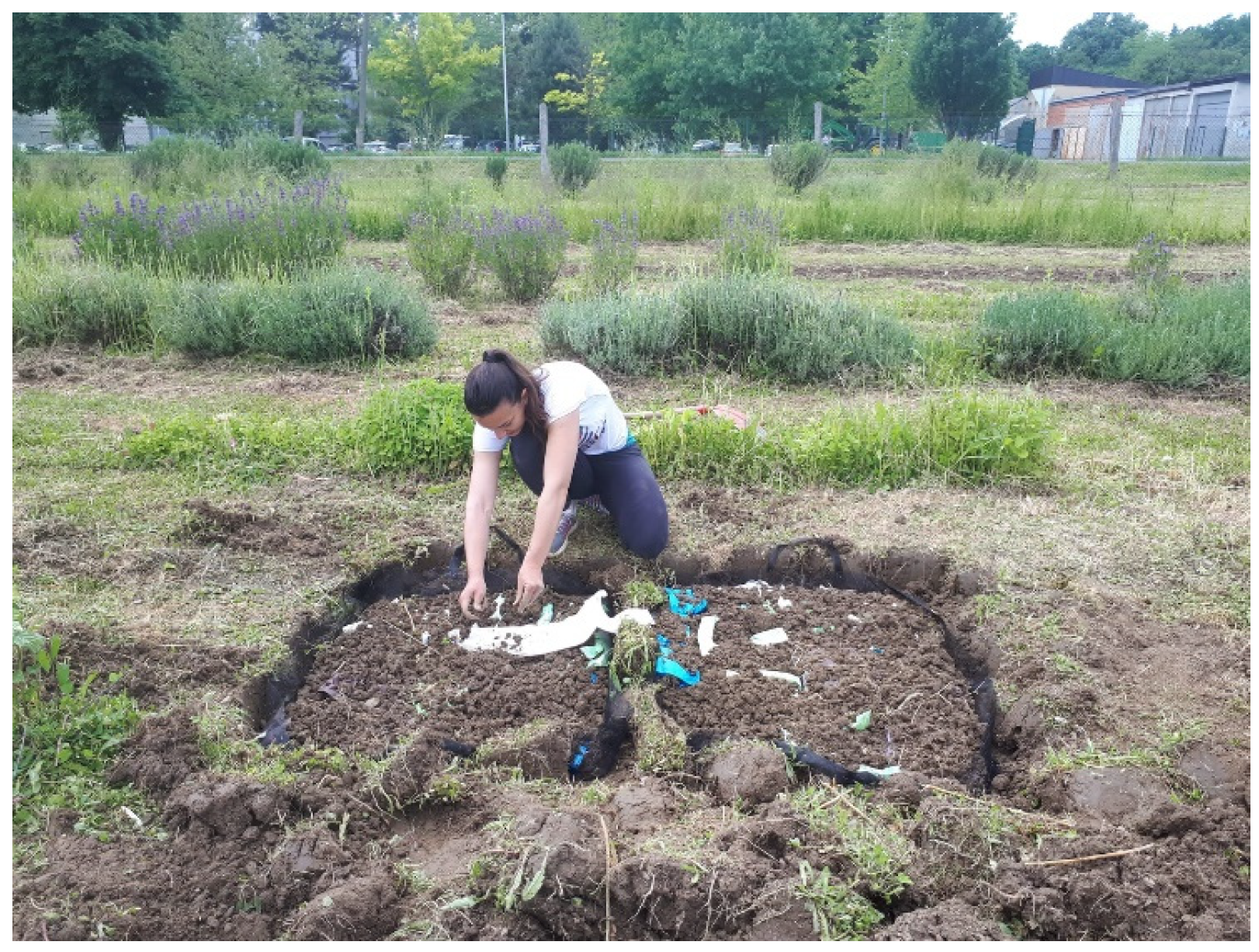 Sustainability 16 02579 g002