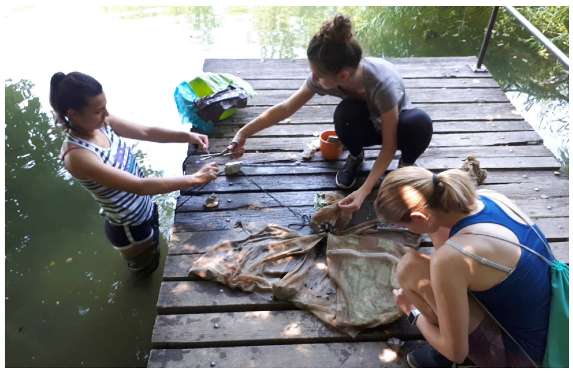 Sustainability 16 02579 g004