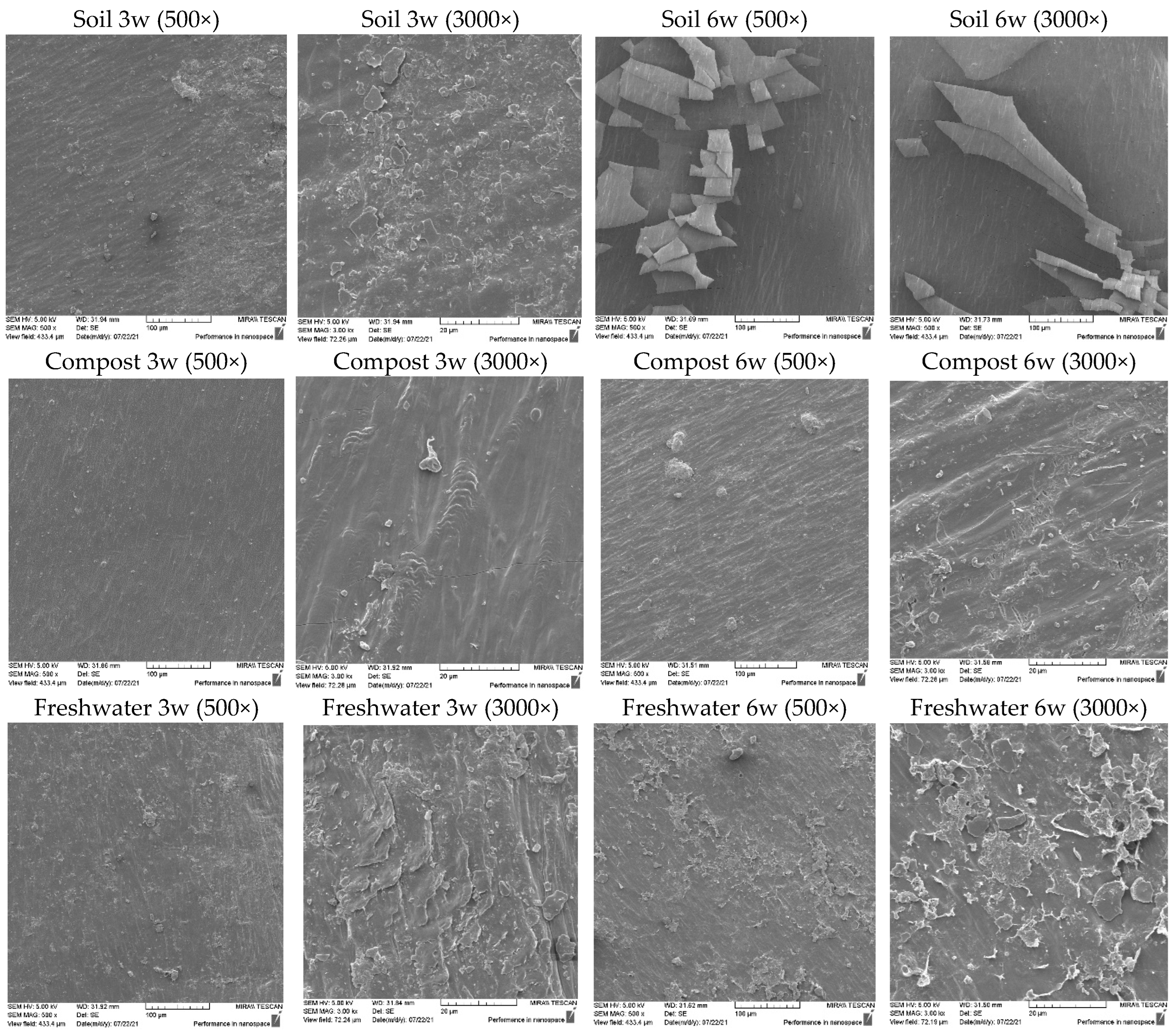 Sustainability 16 02579 g005b