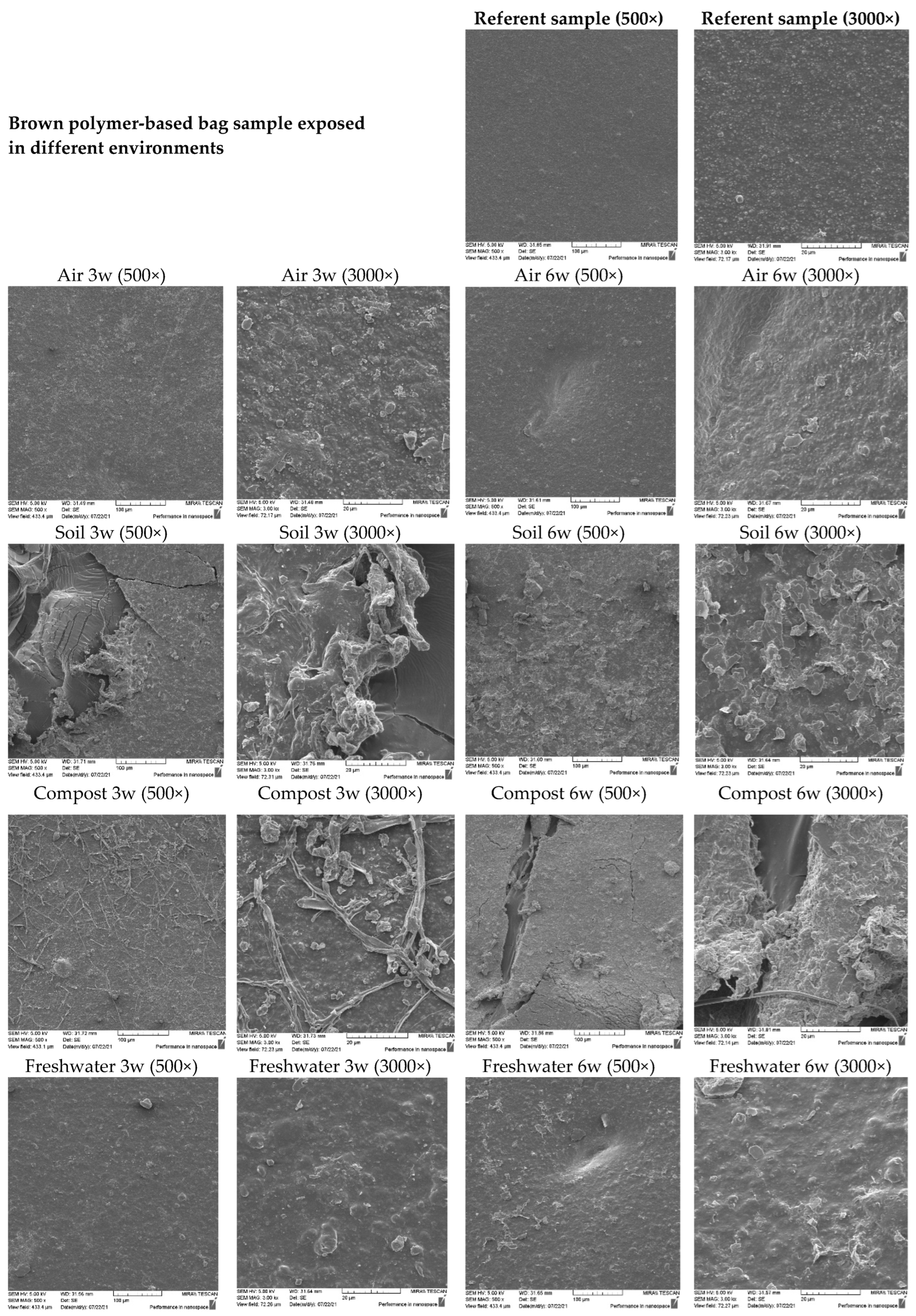 Sustainability 16 02579 g006