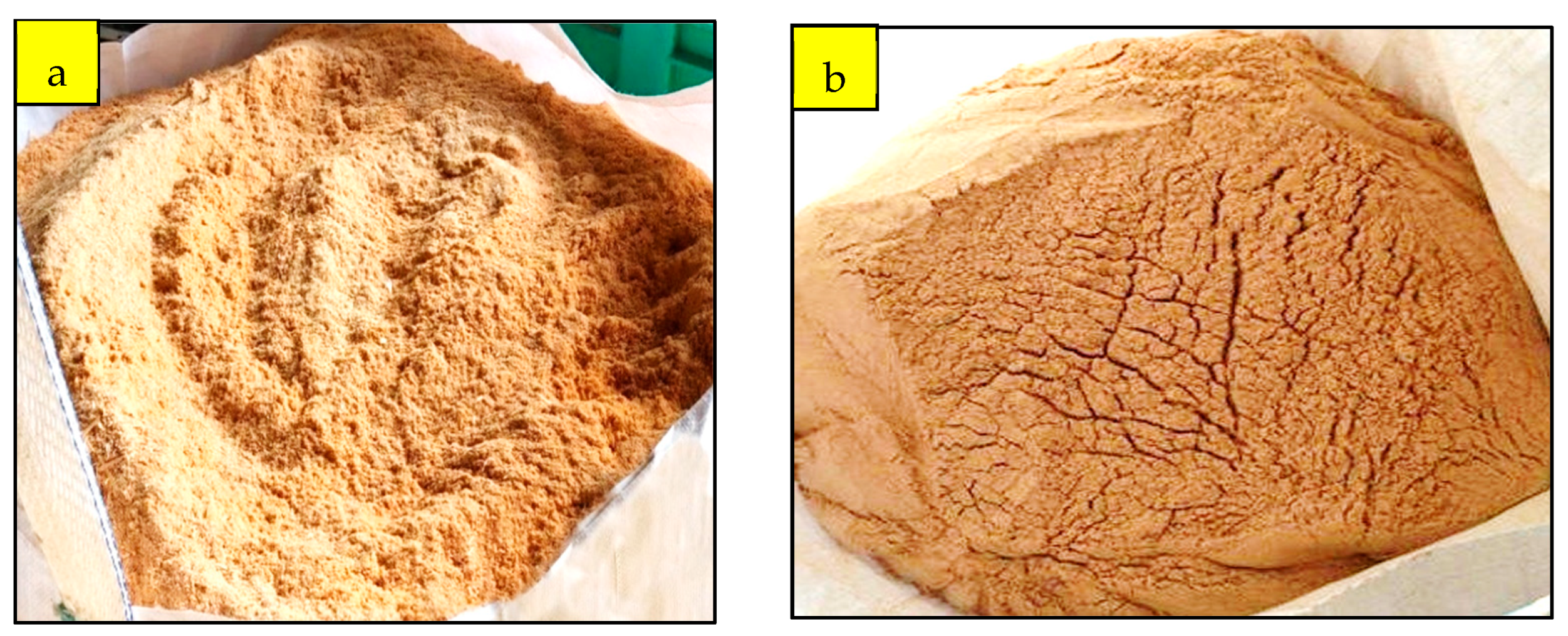 Sustainability 16 02612 g002