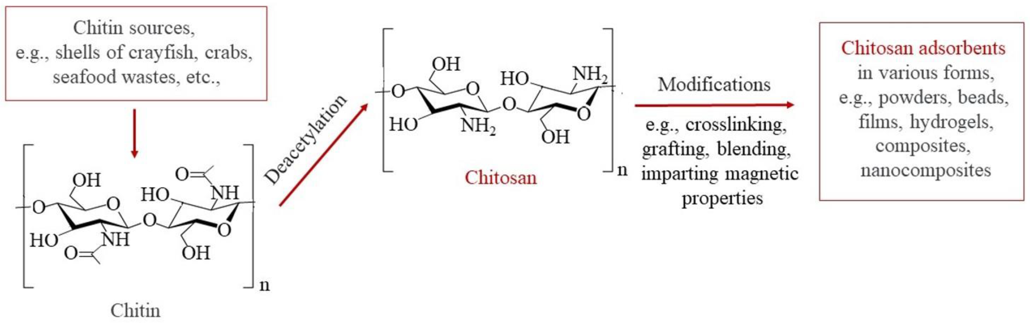 Sustainability 16 02615 g001