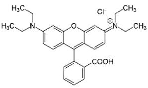 Sustainability 16 02615 i016
