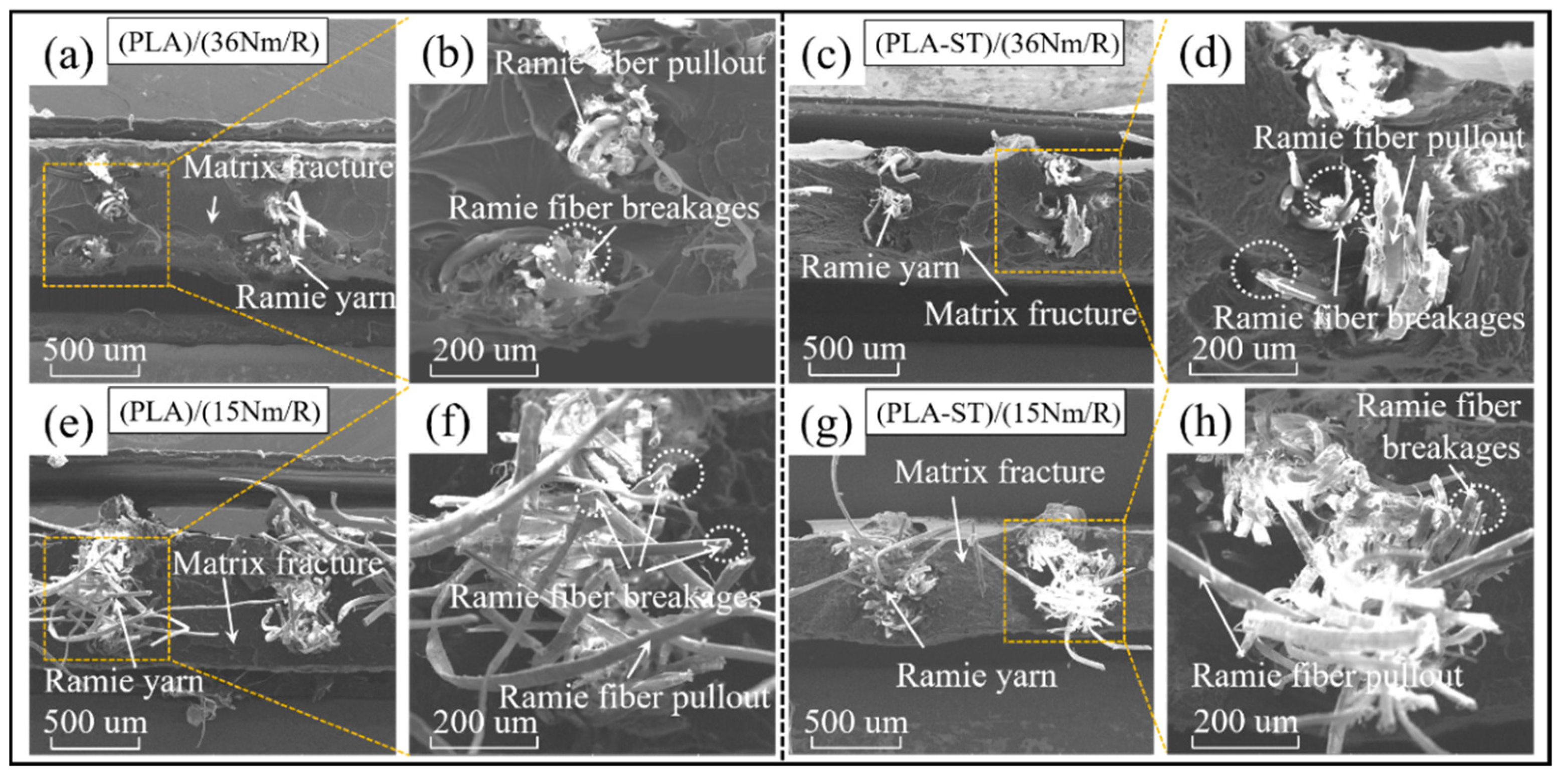 Sustainability 16 02635 g006