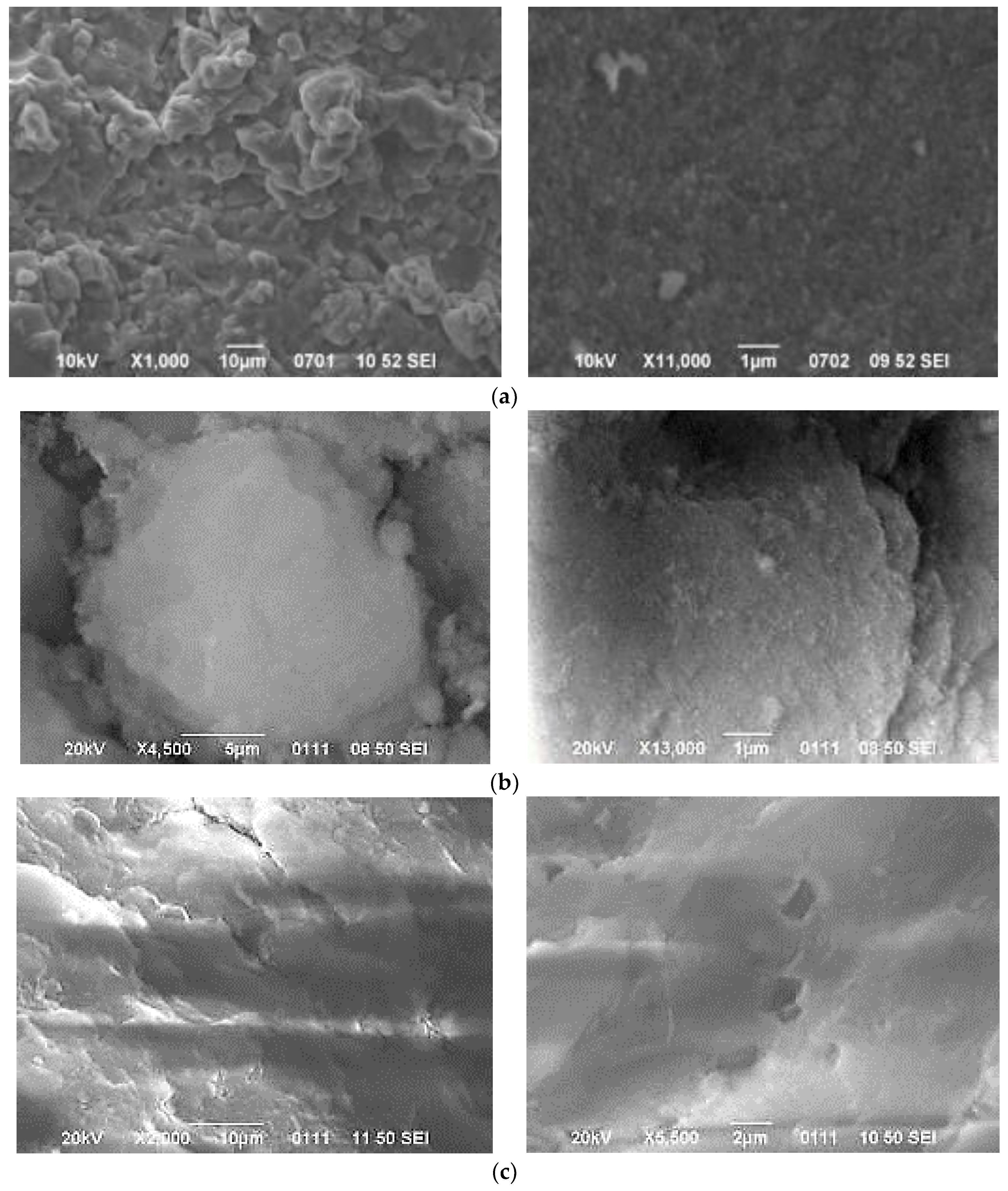 Sustainability 16 02673 g006