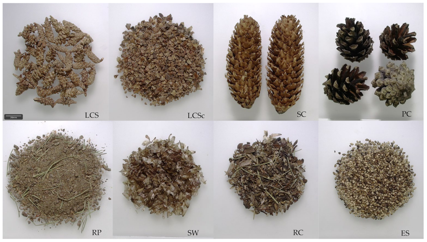 Sustainability 16 02693 g002