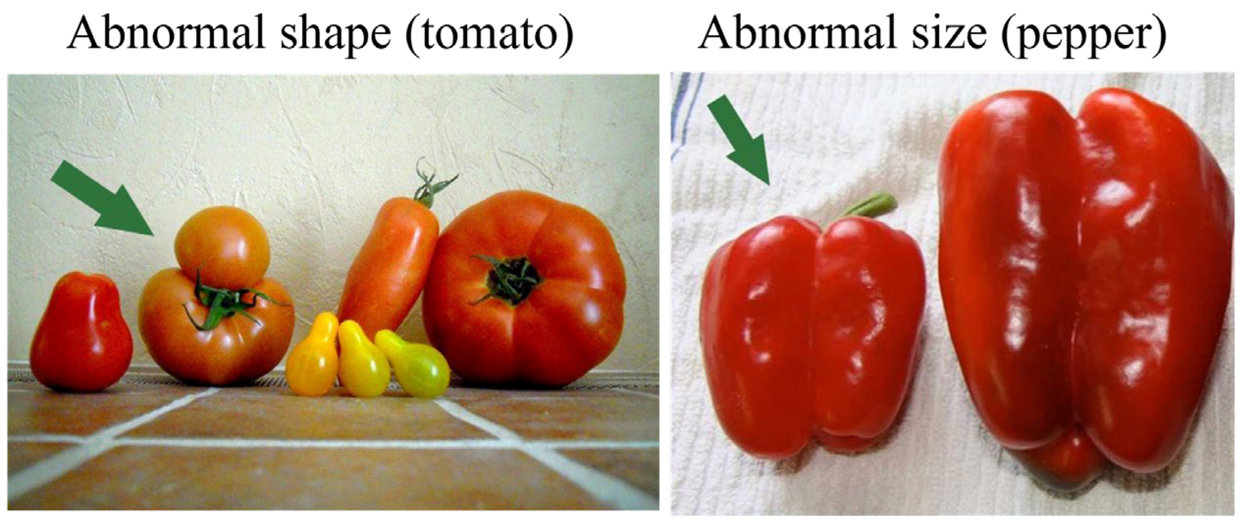 Sustainability 16 02698 g002