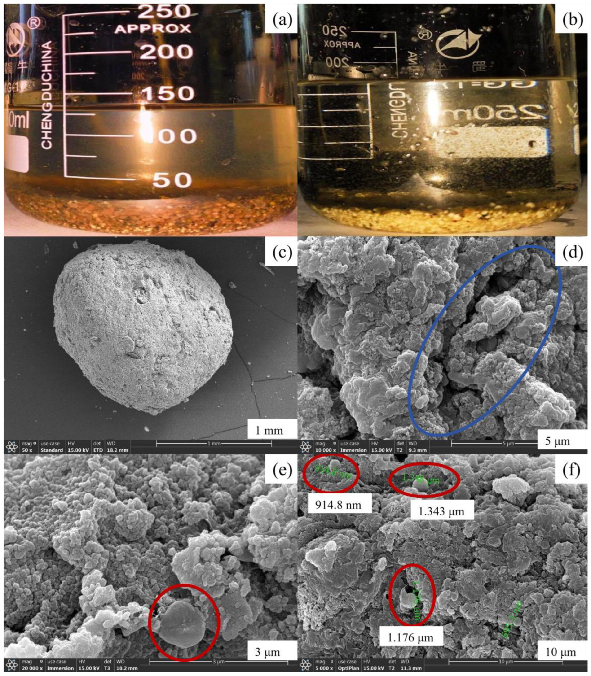 Sustainability 16 02705 g007