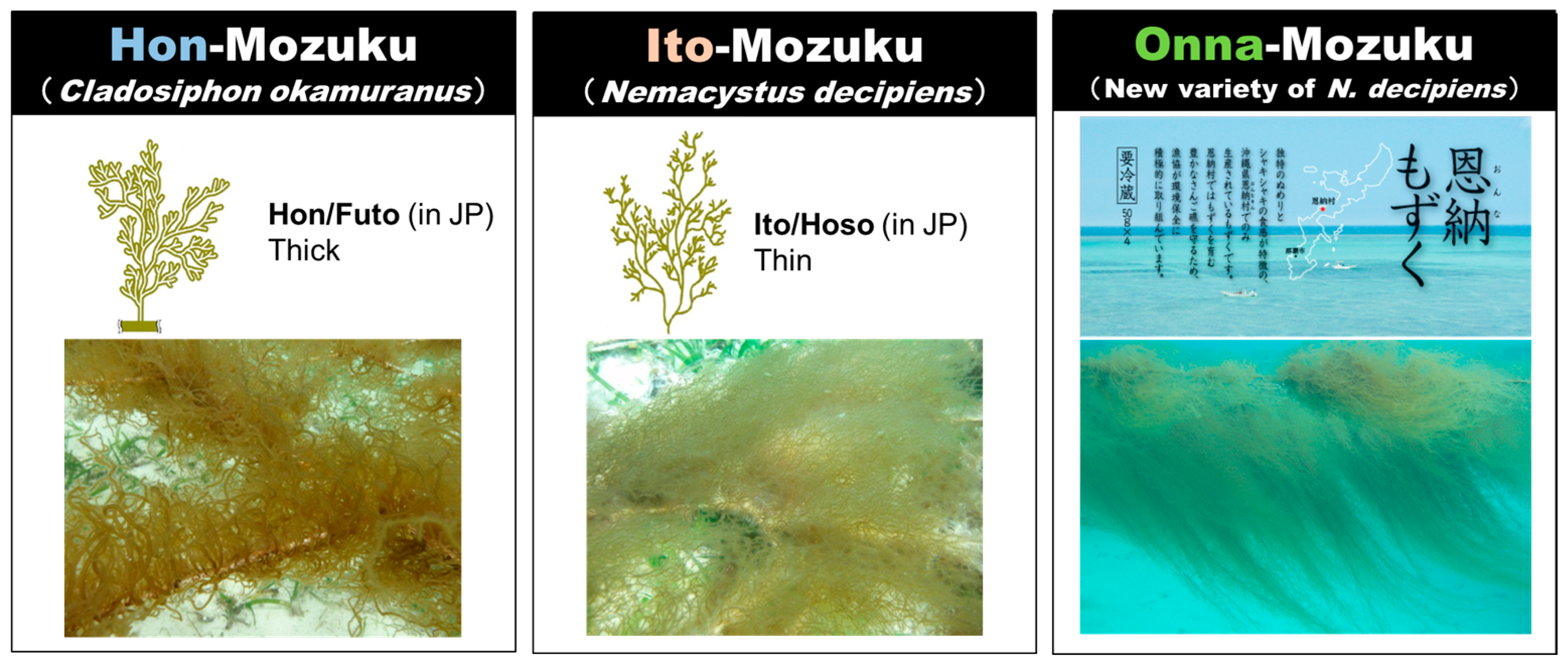 Sustainability 16 02713 g002