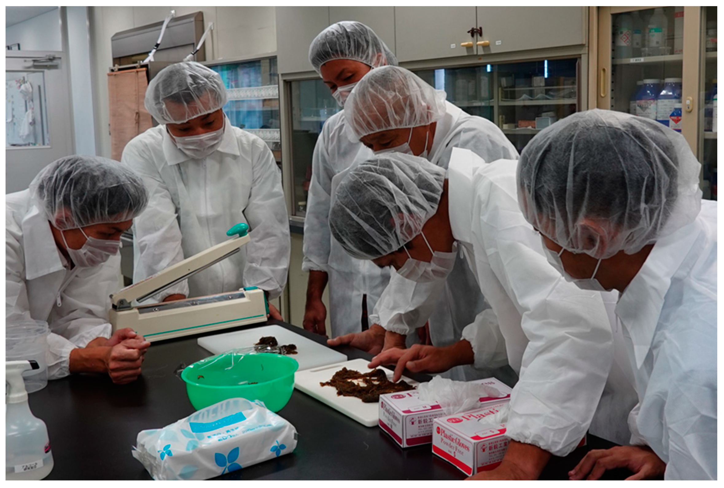 Sustainability 16 02713 g004