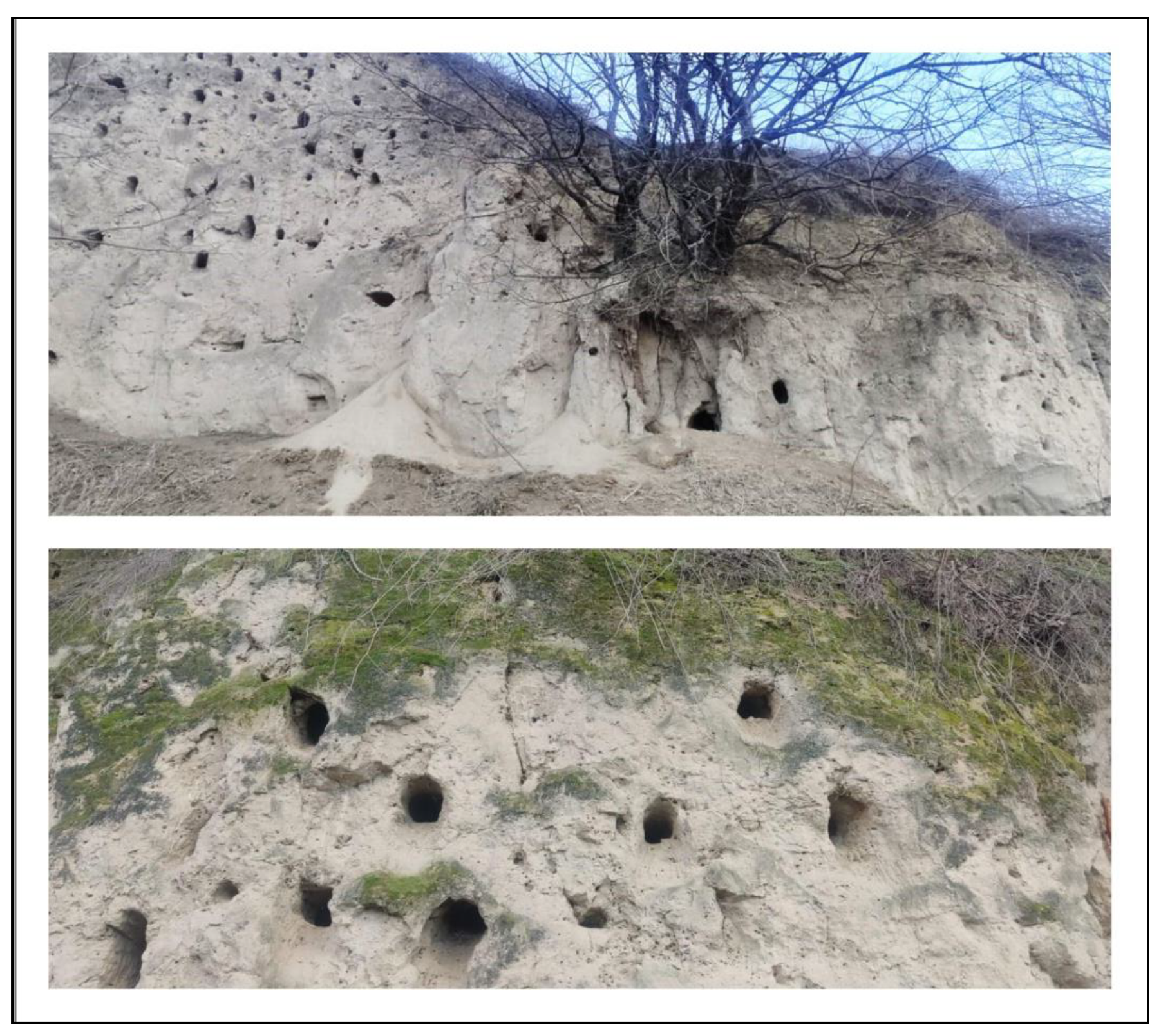 Sustainability 16 02720 g002