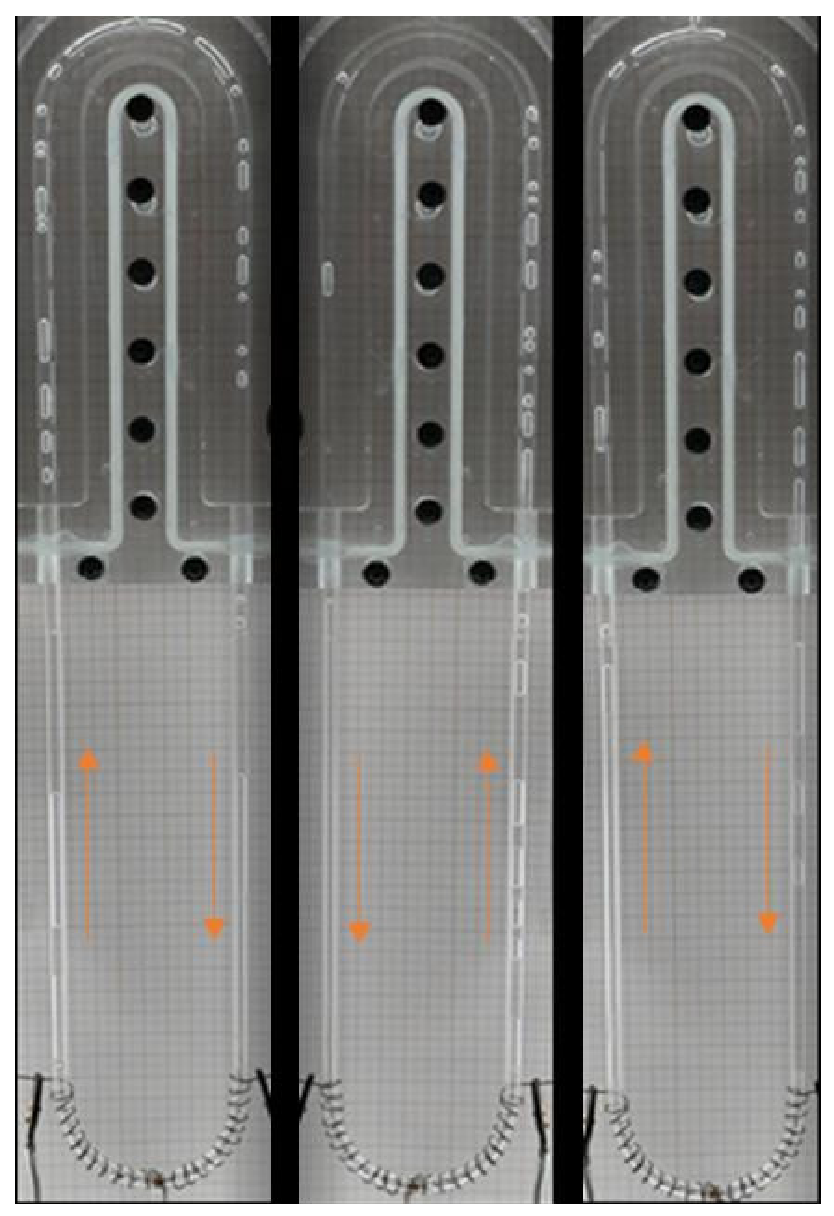 Sustainability 16 02722 g012