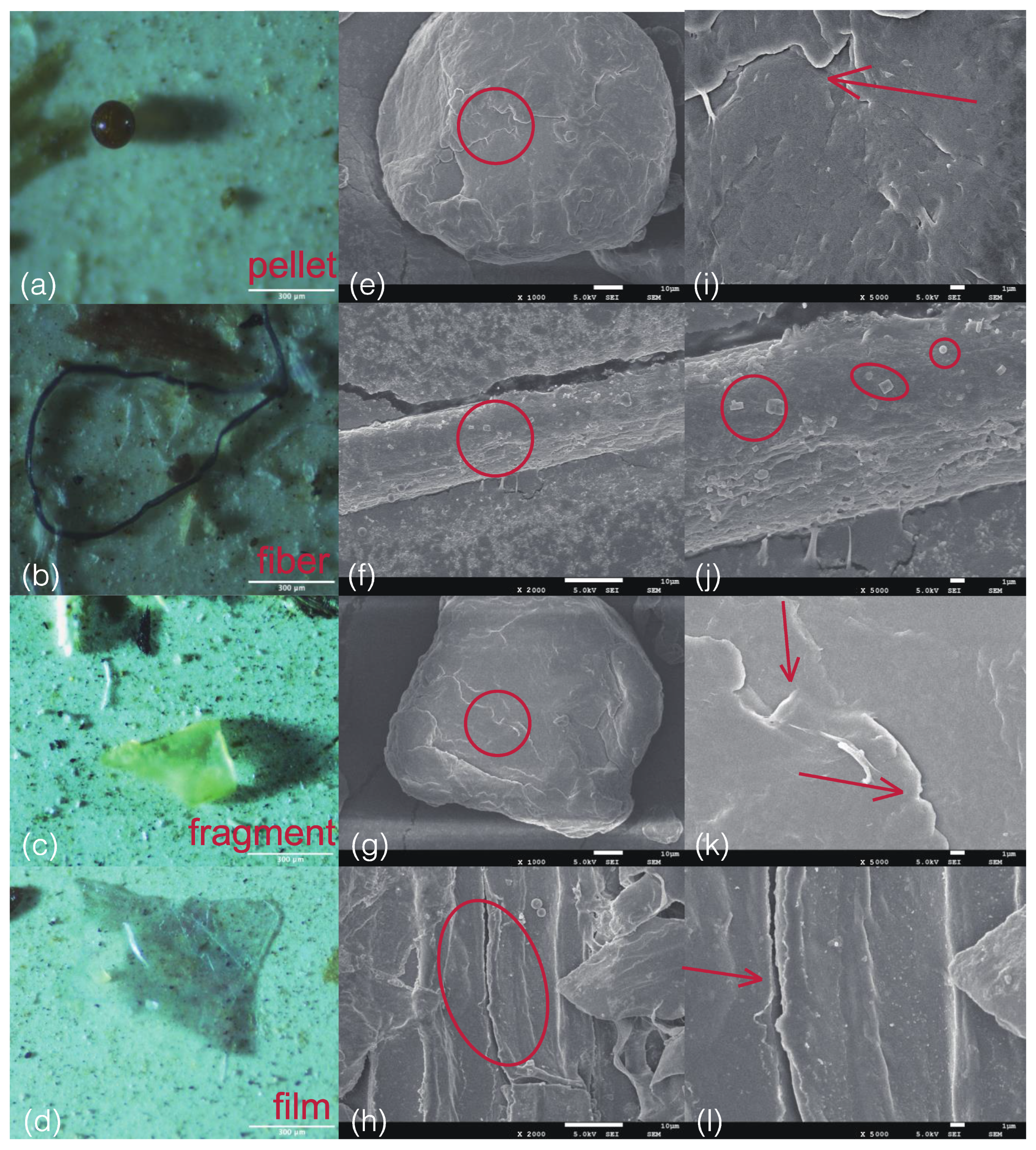 Sustainability 16 02731 g007