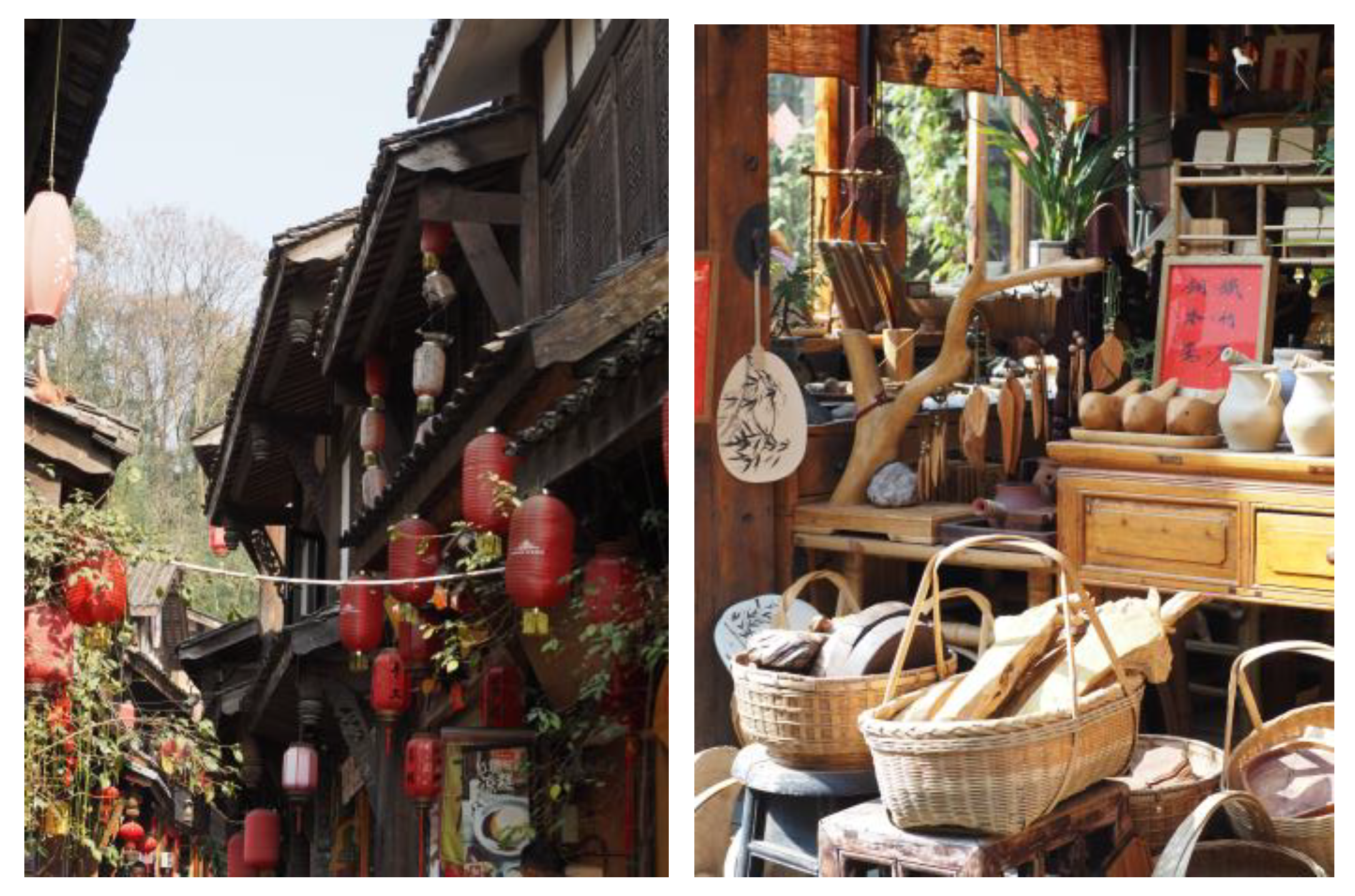 Sustainability 16 02799 g002