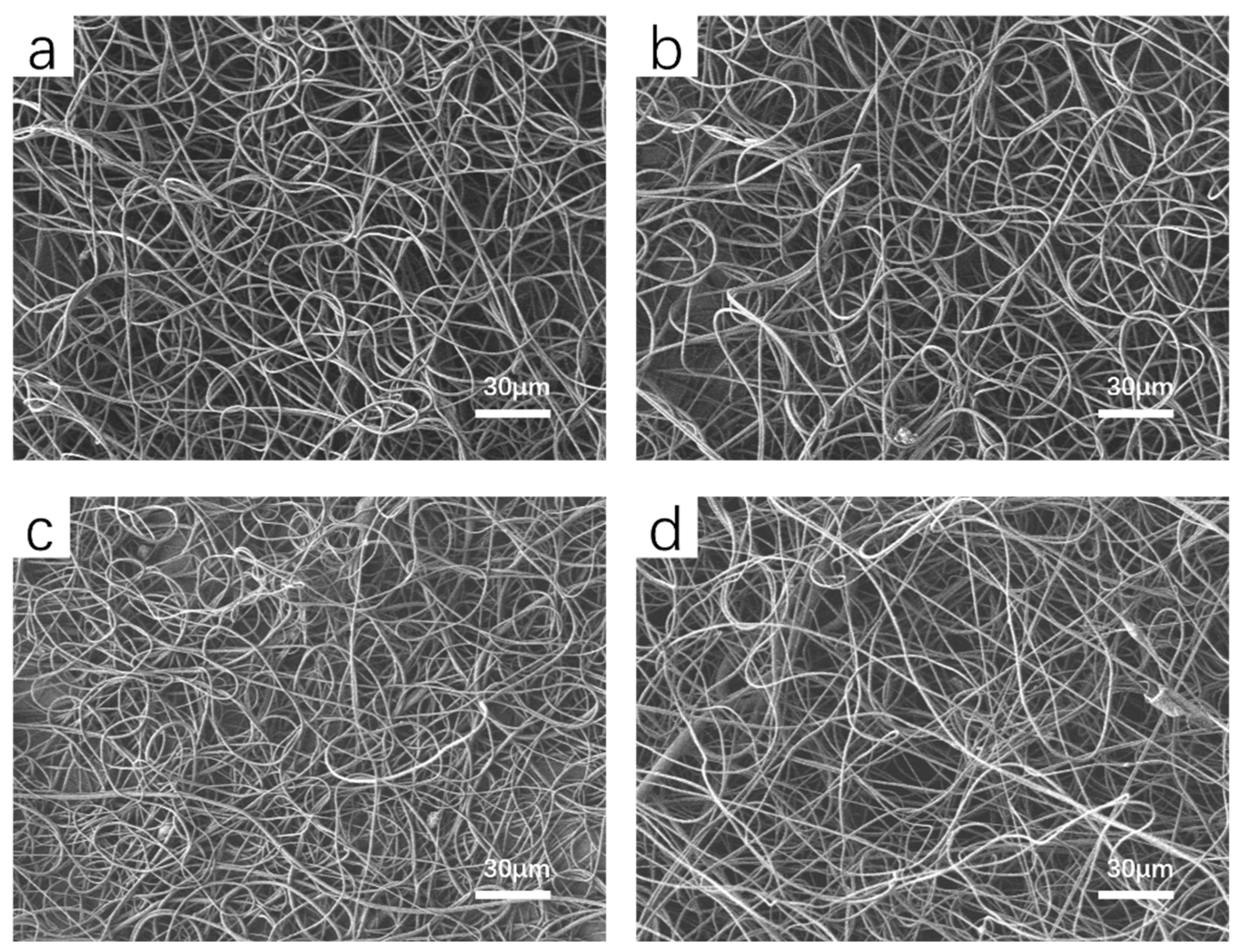 Sustainability 16 02808 g002