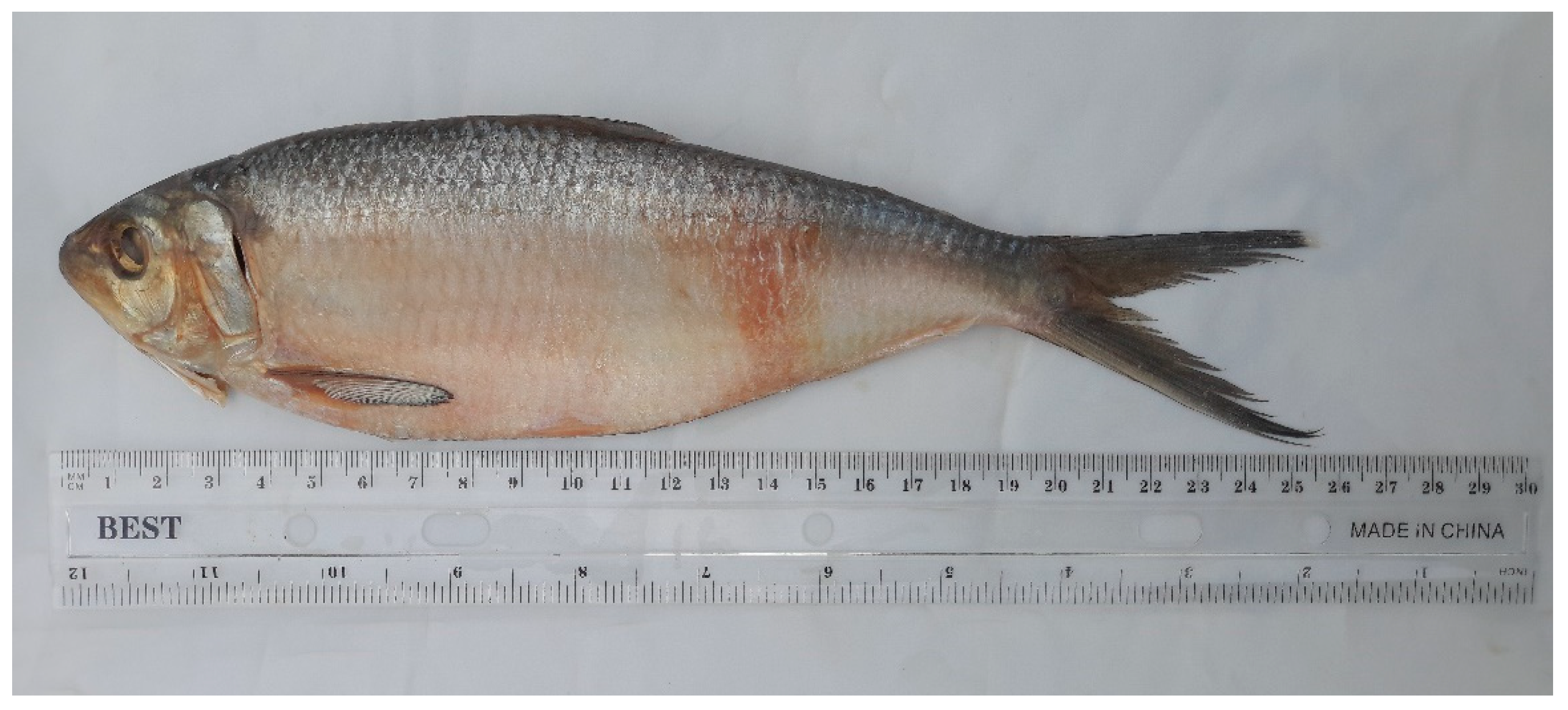 Sustainability 16 02848 g004 Sustainability 16 02848 g004