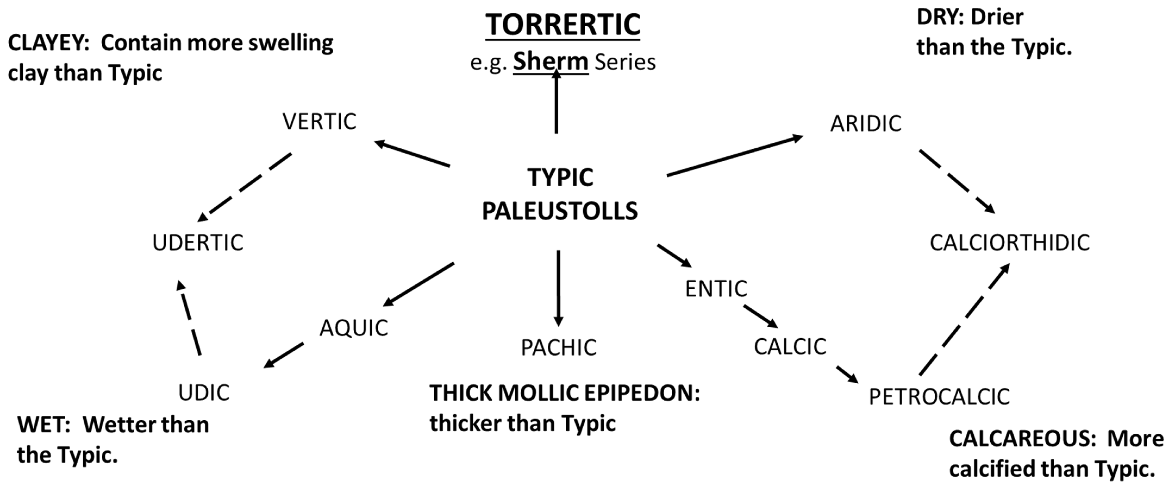 Sustainability 16 02867 g001