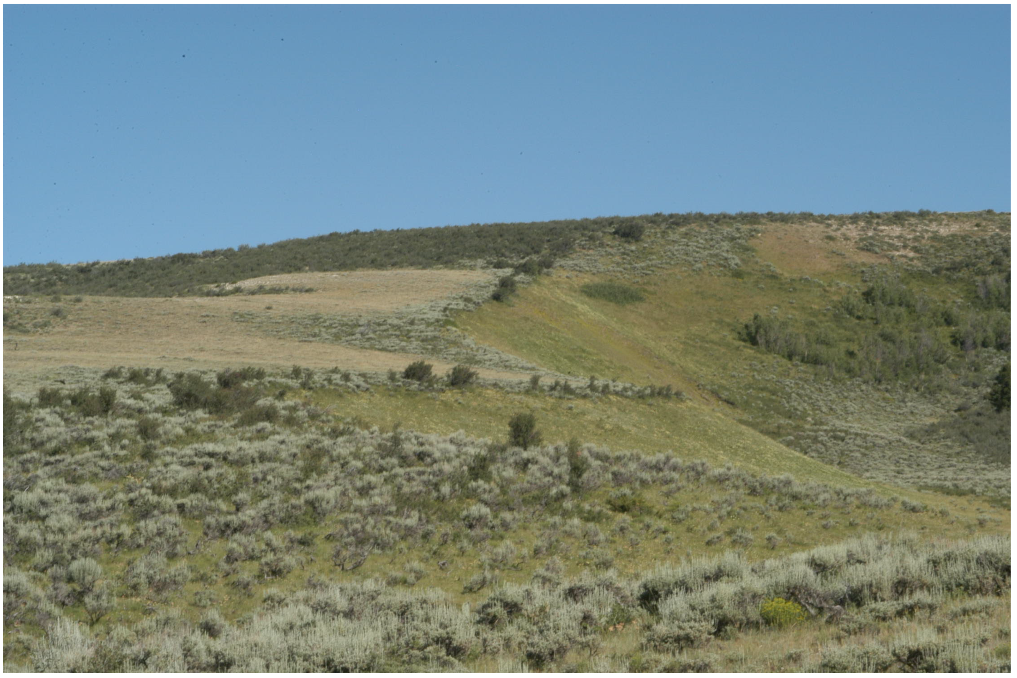 Sustainability 16 02867 g002