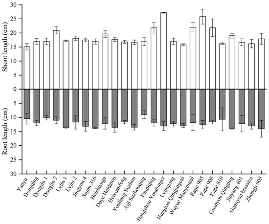 Distribution, Accumulation and Translocation of the Heavy